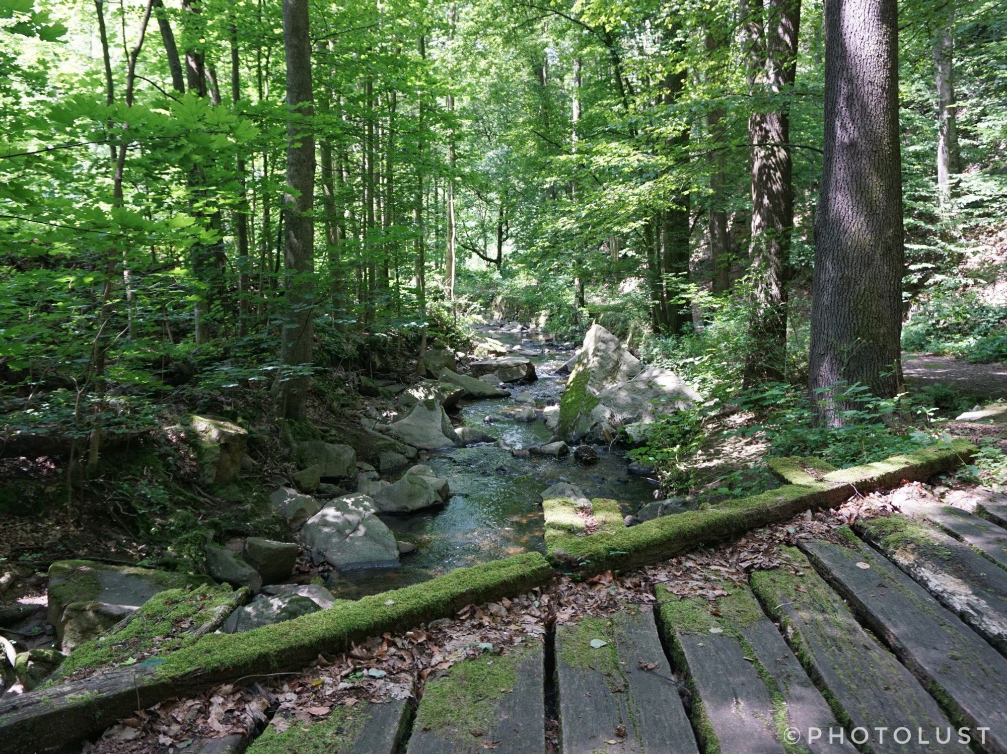 Fußgängerbrücke mit verschieden langen Bohlen über einen Wildbach im Wald. Im Bach liegen viele Steine, die Brücke ist teils mit Moos bewachsen. An den Ufern des Baches stehen sattgrüne Laubbäume.