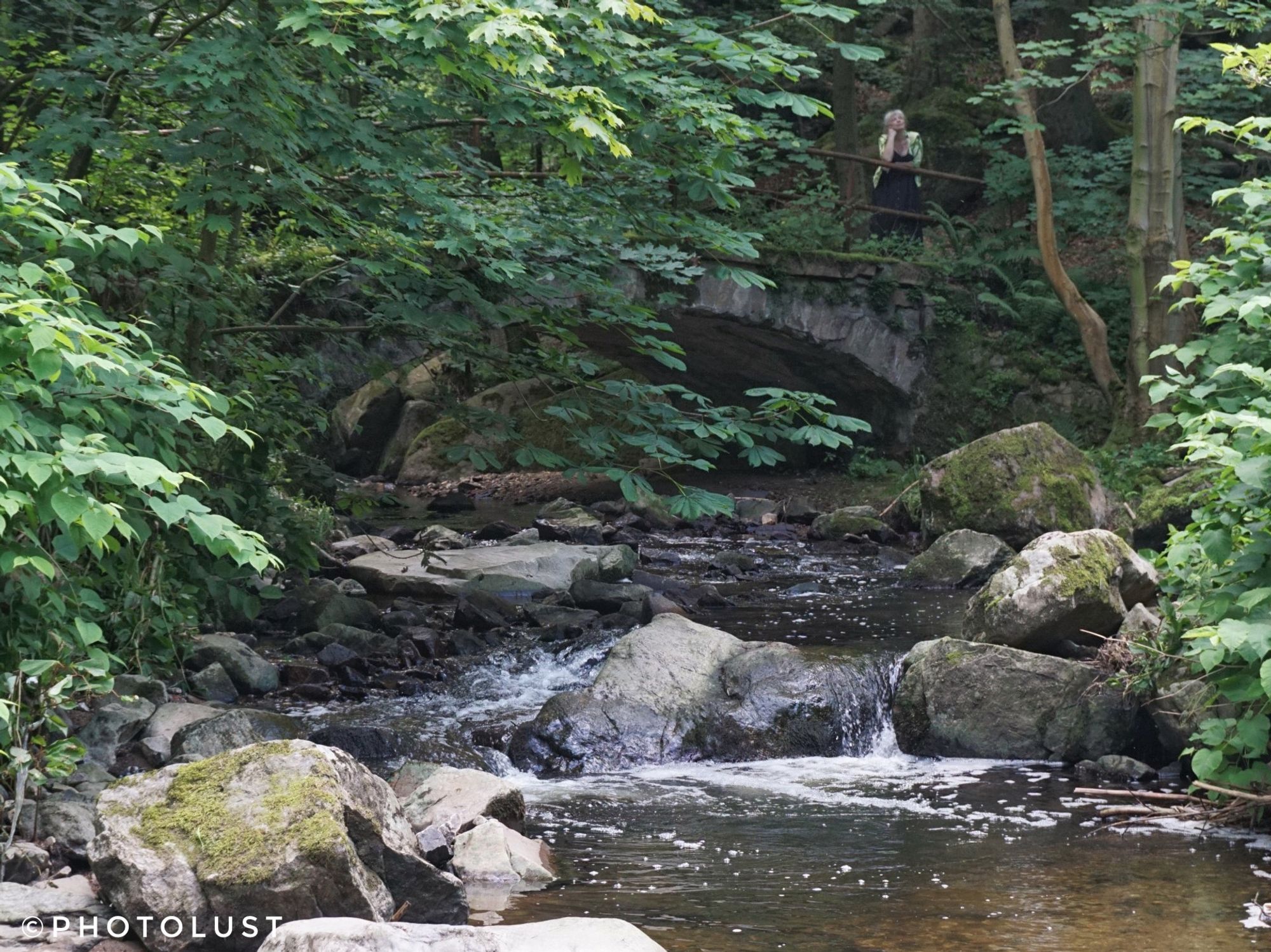 Mündung des Brauselochbach in die Zwickauer Mulde. Der Bach fließt durch einen Wald. Zu beiden Seiten stehen Bäume. Im Bachbett liegen große Steine. Über den Bach spannt sich eine Brücke, auf der eine Frau steht.