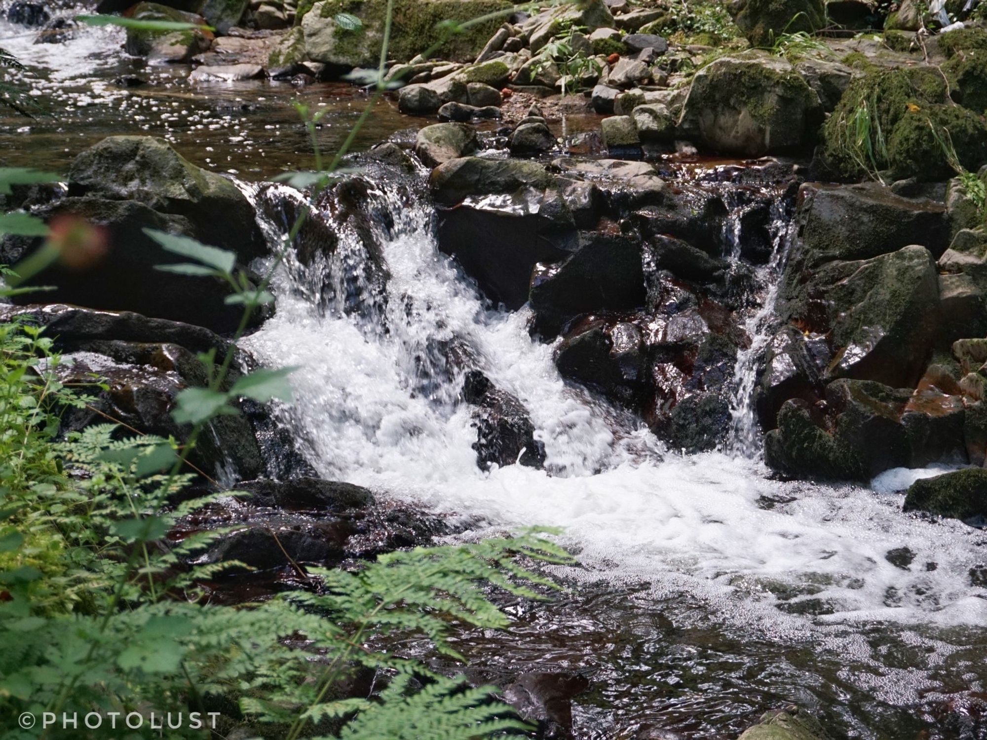 Das Wasser eines Wildbaches im Wald fließt über eine kleine Kaskade.