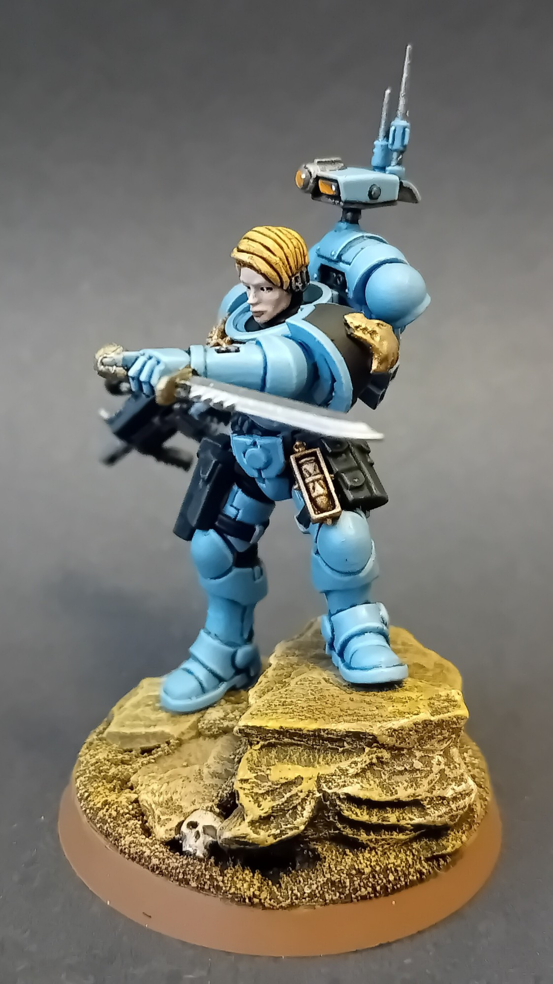 Female Space Marines, Azure Raptors Phobos Captain.
Left side, showing her knife and marksmanship award.