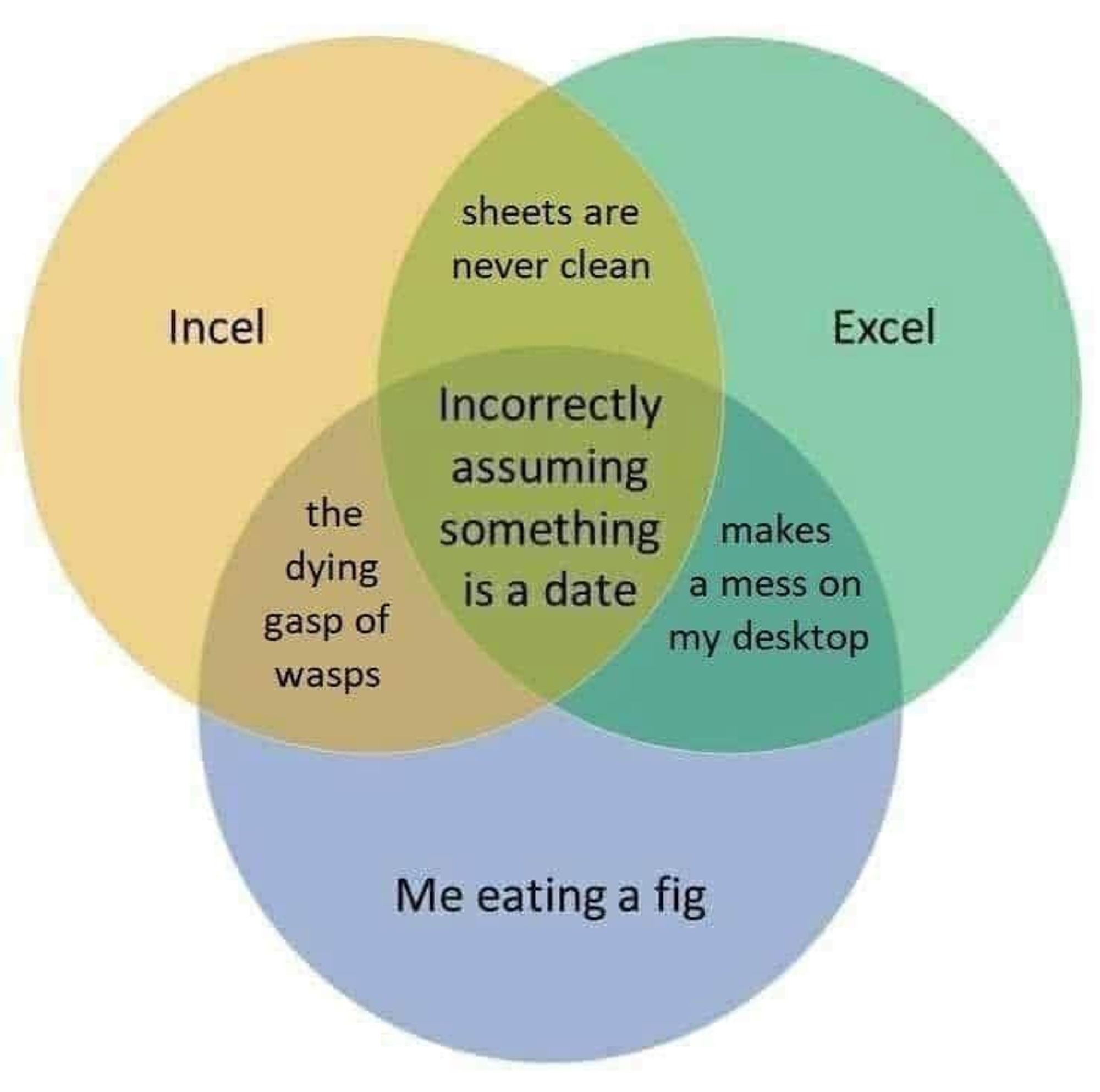 Venn Diagram of Incel, Excel, and Me eating a fig. Incel+Excel = Sheets are never clean, Me eating a fig+Excel = Makes a mess on my desktop, Me eating a fig+Incel = the dying gasp of wasps, Incel+Excel+Me eating a fig = Incorrectly assuming something is a date.