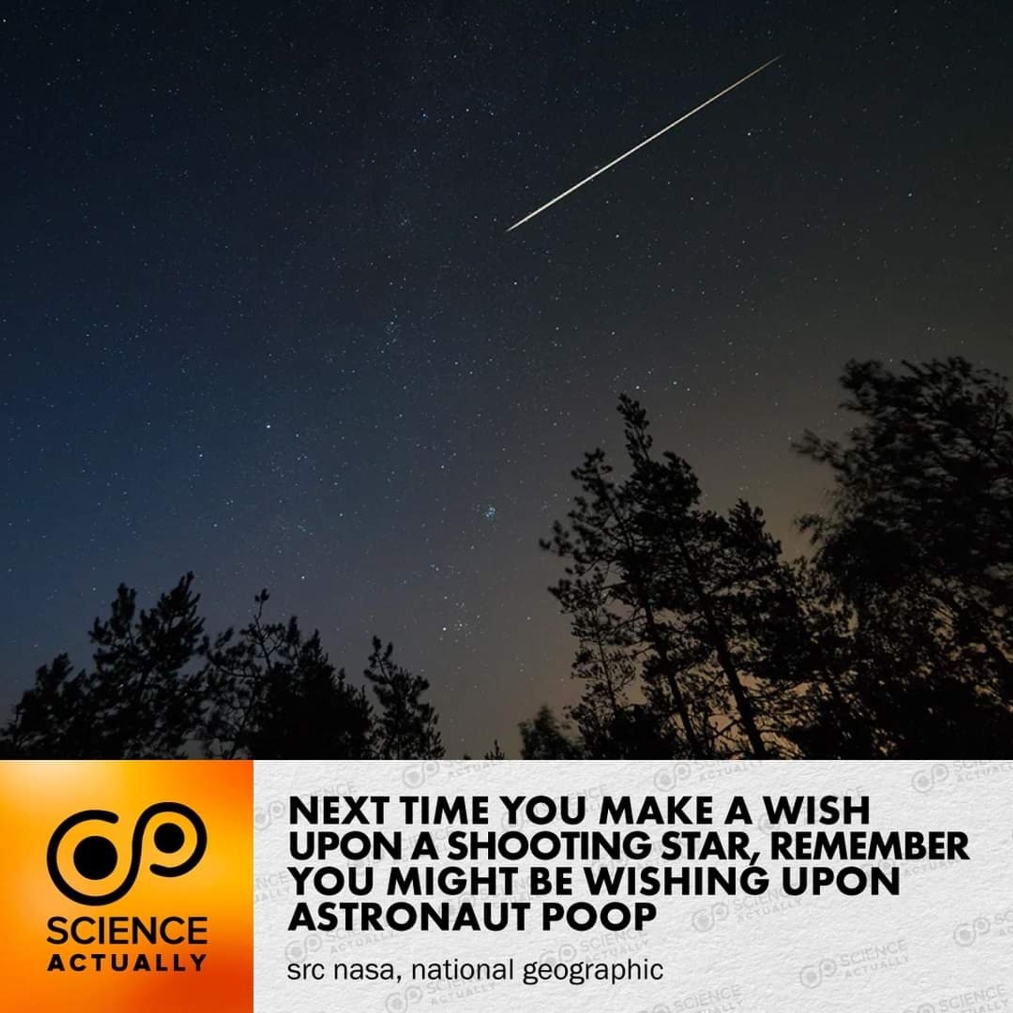 Next time you make a wish upon a shooting star, remember you might be wishing upon astronaut poop.

#science #sciencefact #shootingstar #whenyouwishuponastar #astronautpoop