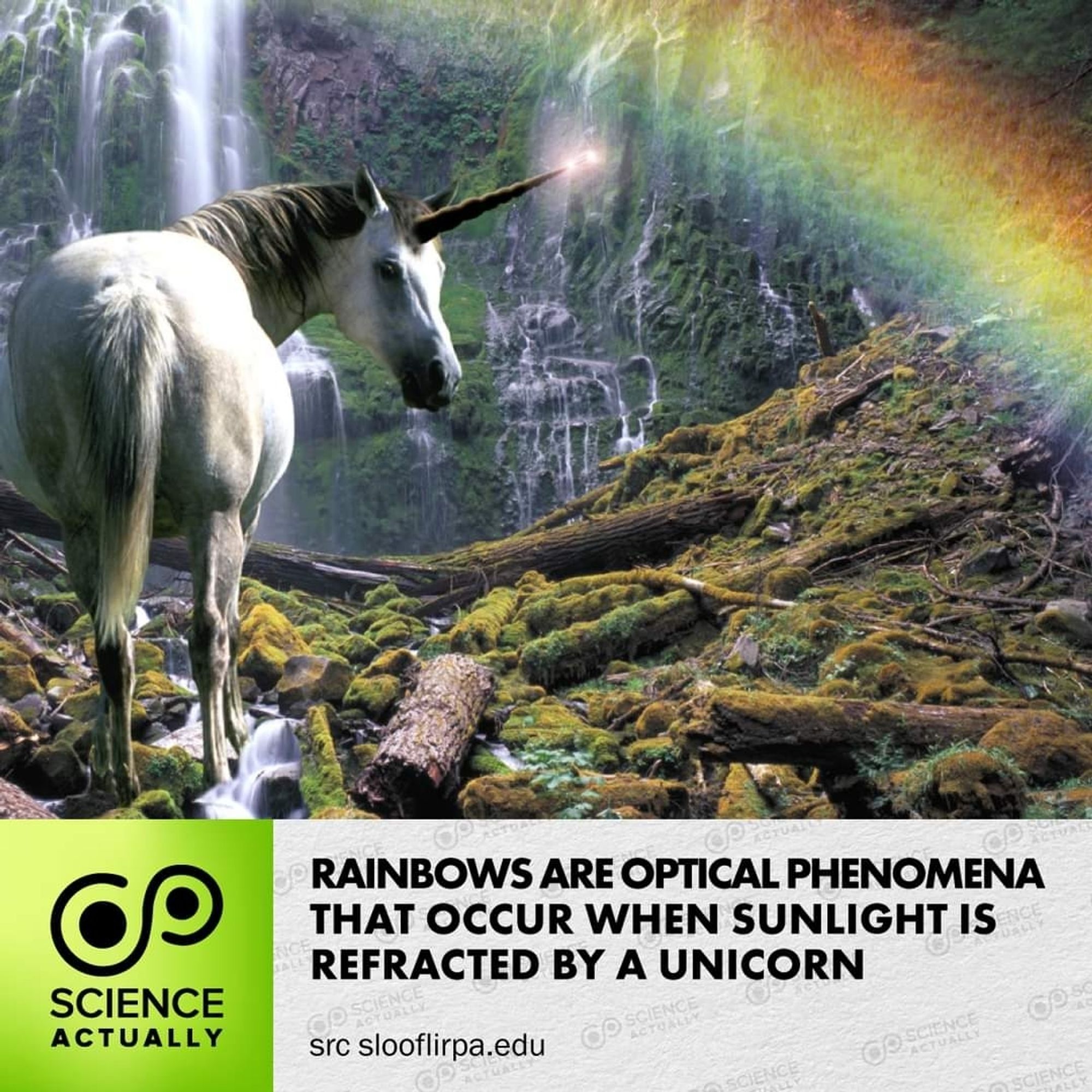 Unicorns are real - according to science!

#science #sciencefacts #unicorns #evolution #geneticmutation #cosmicrays #simeis147 #lightrefraction #rainbows #AprilFools