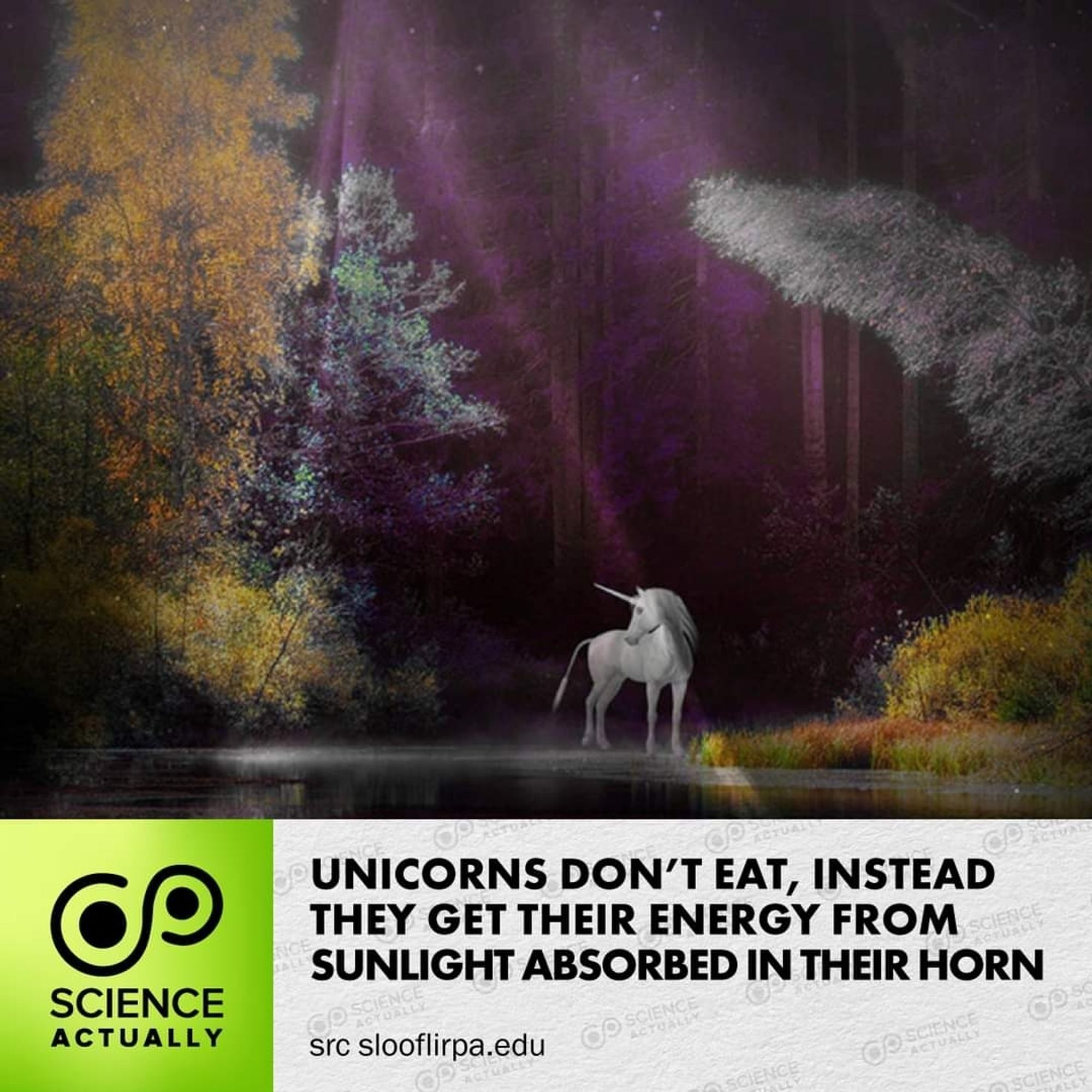 Unicorns are real - according to science!

#science #sciencefacts #unicorns #evolution #geneticmutation #cosmicrays #simeis147 #lightrefraction #rainbows #AprilFools