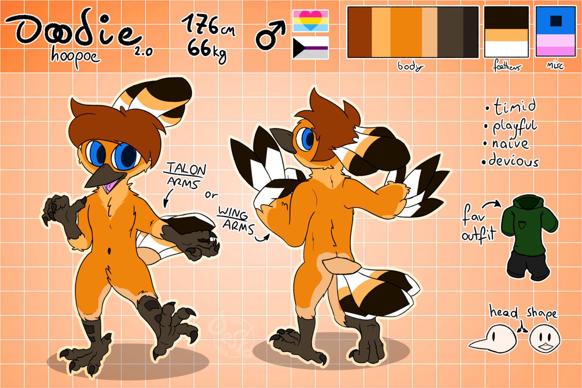 Rerefence sheet of an anthropomorhic hoopoe bird character.
Top bar from left to right contains: "Doodie hoopoe 2.0" title, "176cm 66kg" data, male gender symbol, panromantic flag, demisexual flag and colour reference bars for: body, feathers and other.
Character is presented in 2 poses. In the front-facing pose he extends his left (from character's perspective) arm forwards and lifts his left leg, looking far into his left. Second pose is back-facing, he makes a peace symbol with his left wing-arm, right arm is relaxed. He stands on his toes with the right leg. Looks back into the place of the viewer.
On the right of the sheet his personality traits are listed "timid, playful, naive, devious", as well as his favourite outfit of a dark green short-sleeve hoodie and dark shorts is presented. Bottom-right is reference for Doodie's head shape.