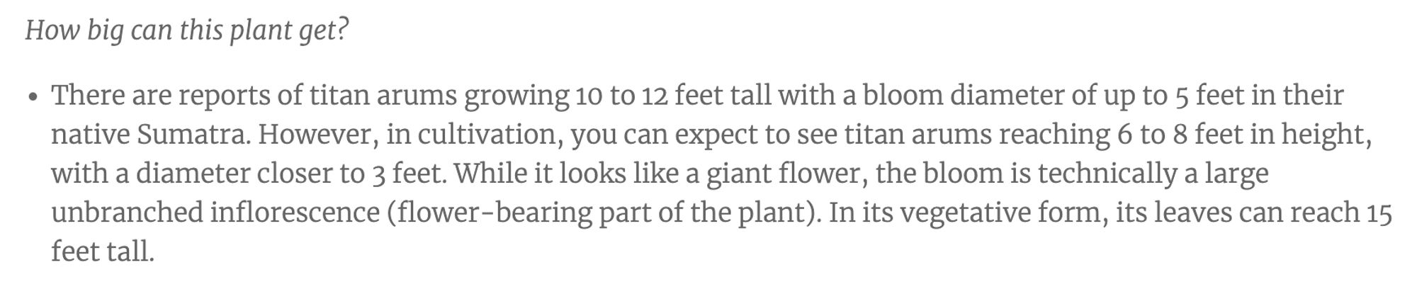 How big can this plant get?

There are reports of titan arums growing 10 to 12 feet tall with a bloom diameter of up to 5 feet in their native Sumatra. However, in cultivation, you can expect to see titan arums reaching 6 to 8 feet in height, with a diameter closer to 3 feet. While it looks like a giant flower, the bloom is technically a large unbranched inflorescence (flower-bearing part of the plant). In its vegetative form, its leaves can reach 15 feet tall.