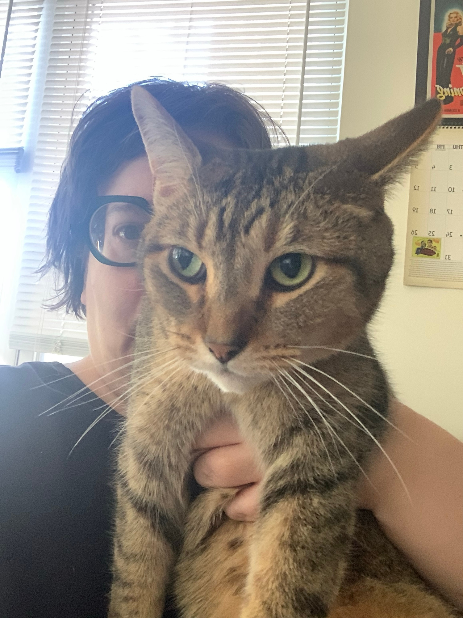 Selfie of a white nerd and a handsome brown tabby