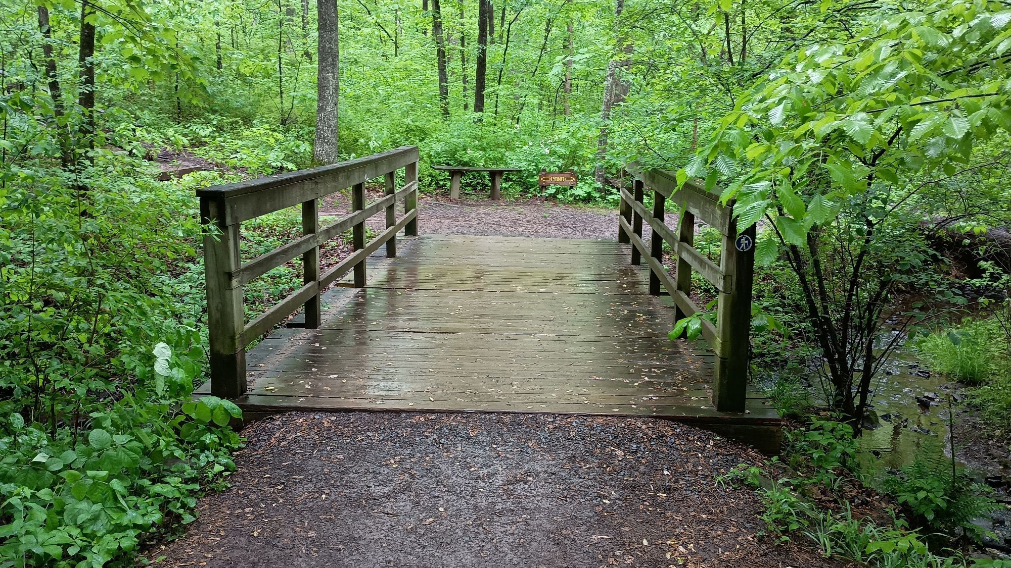 A pedestrian bridge through thick green foliage.