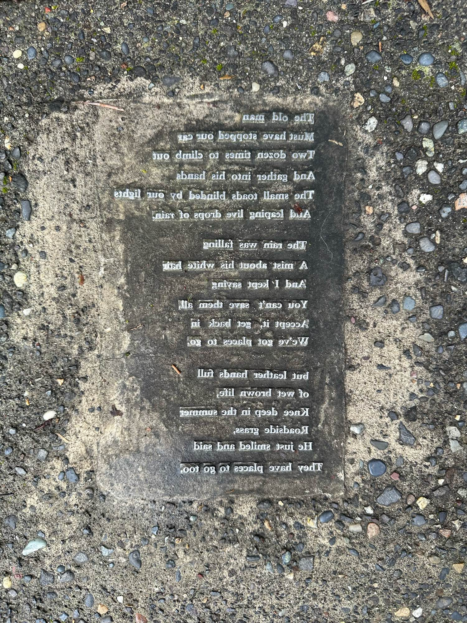 A poem made of print blocks embedded in the sidewalk