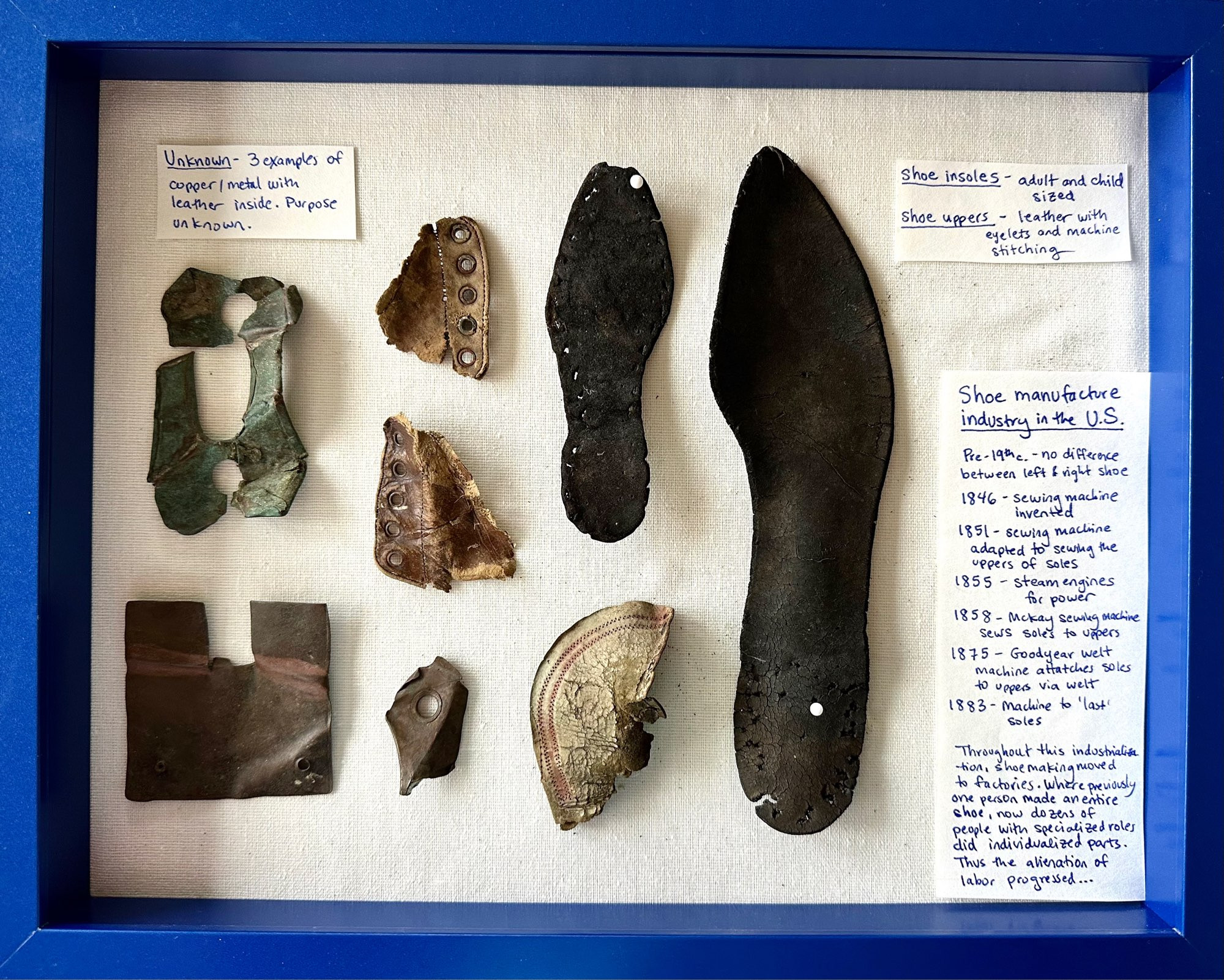 Various vintage shoe fragments found on the beach, pinned to a board.