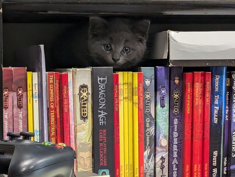 A gray kitten peeks out from atop a row of TTRPG books. They're mainly Exalted 1st and 2nd edition sourcebooks, but also Dragon Age, Demon: The Fallen, and Mage: The Ascension. Don't judge me for the disorderly arrangement.