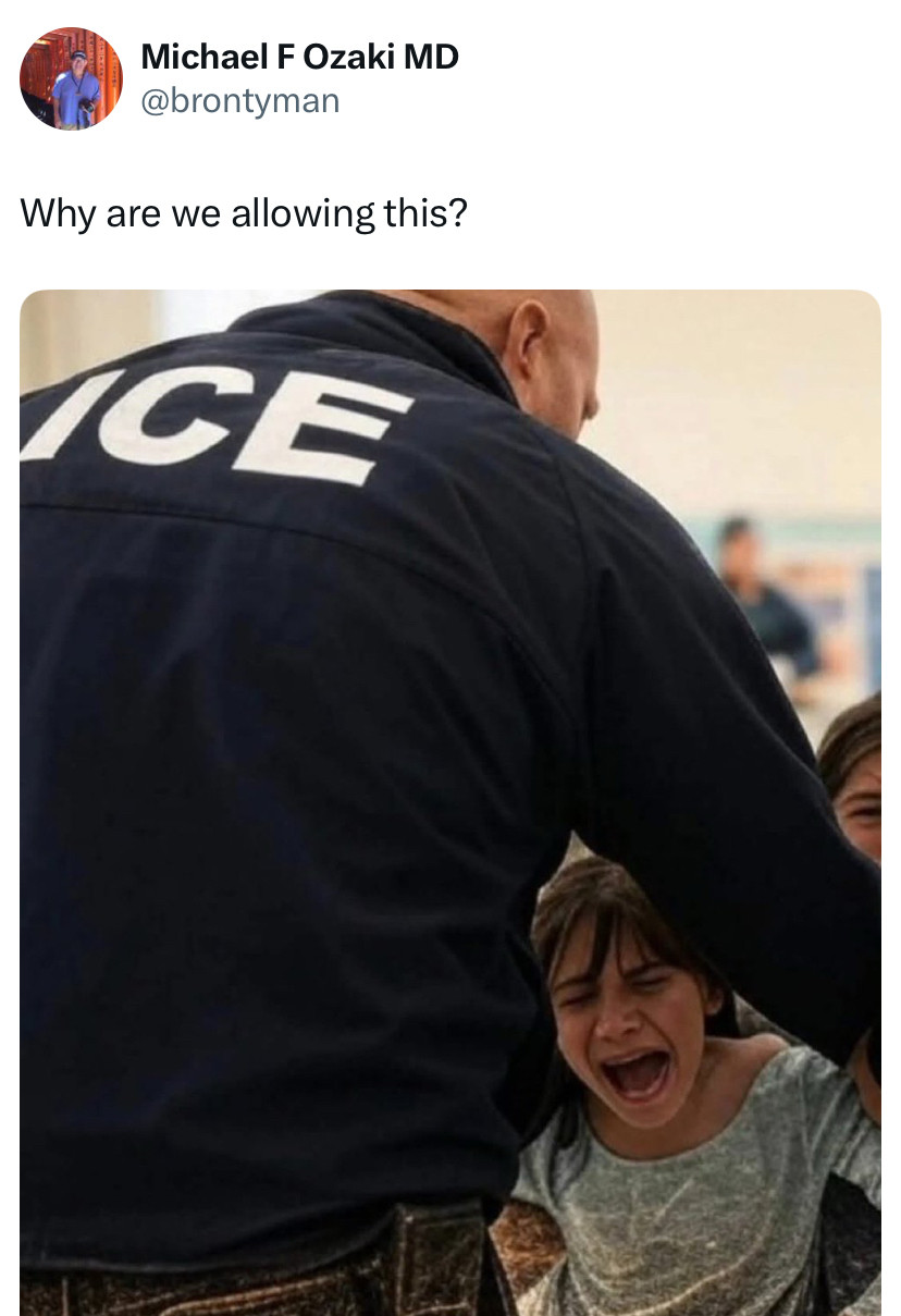 Why are we allowing this?
(ICE officer holding back a young girl)