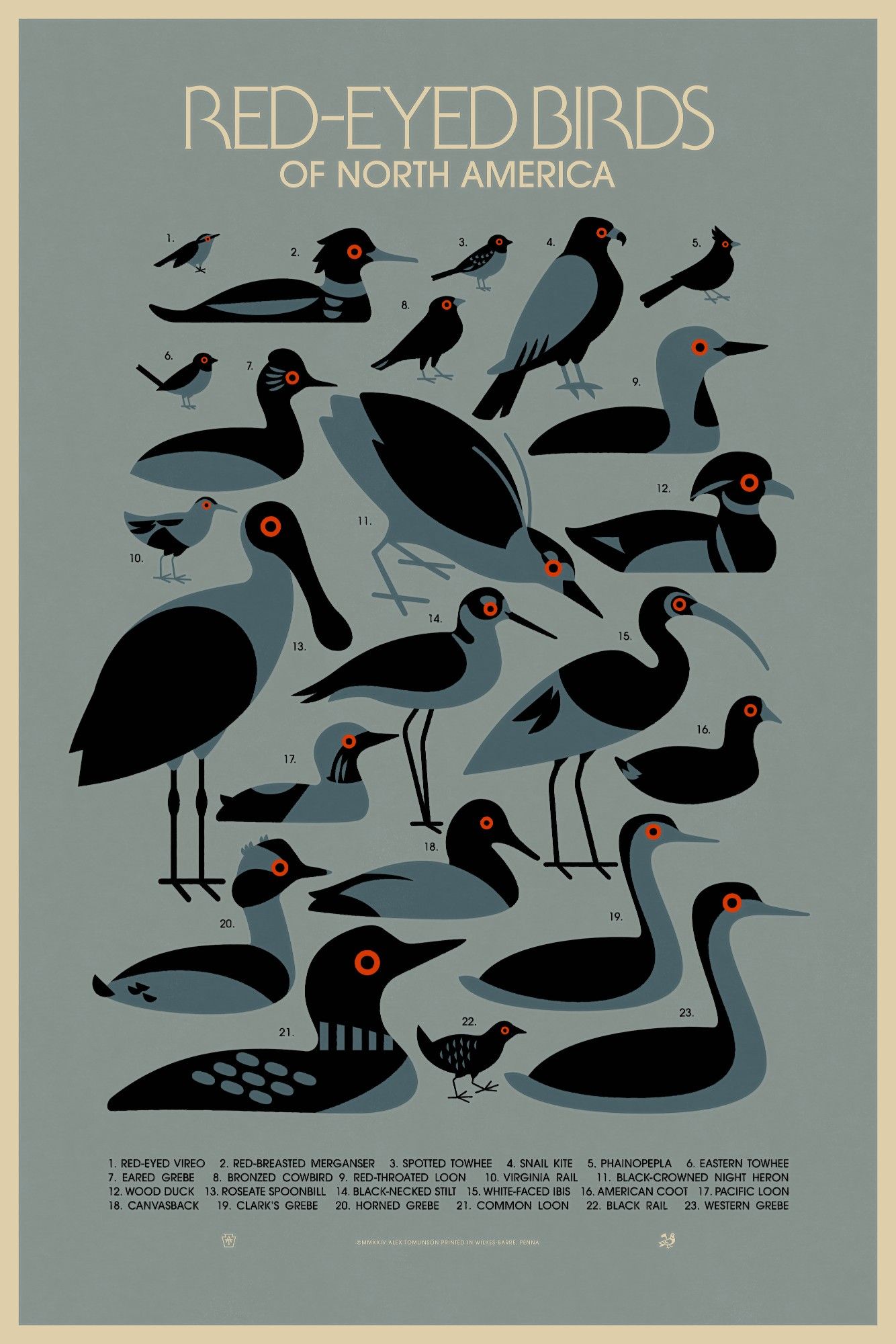 Flat, graphic illustrated poster entitled "Red-Eyed Birds of North America" featuring shadowy gray-blue silhouetted birds punctuated by bright red eyes. 23 birds are depicted in total, some highlights being the Snail Kite, Roseate Spoonbill, Common Loon, and Wood Duck.