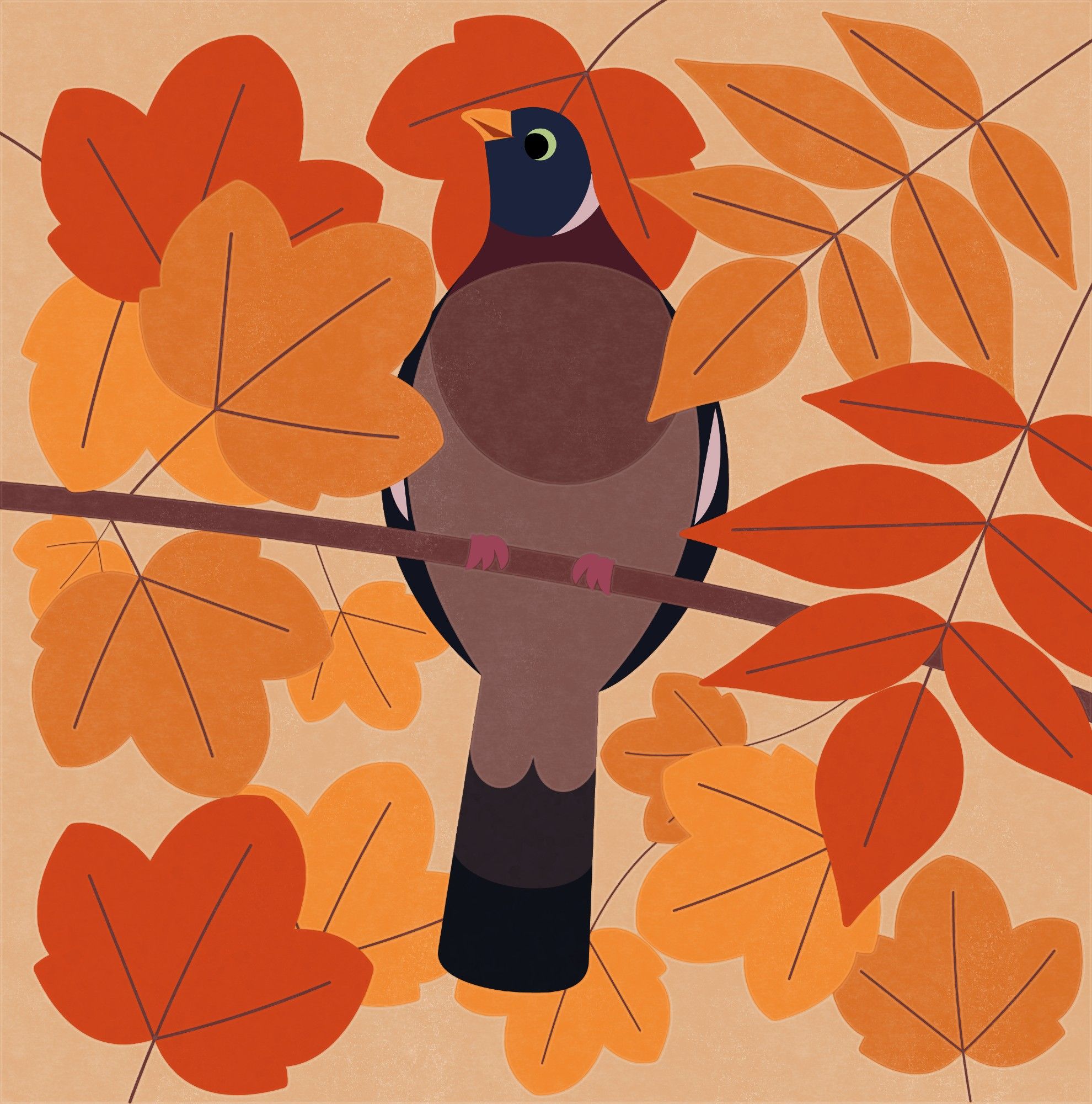 Flat illustration of a Wood Pigeon perched on a branch looking below surrounded by autumn leaves and looking pleased.