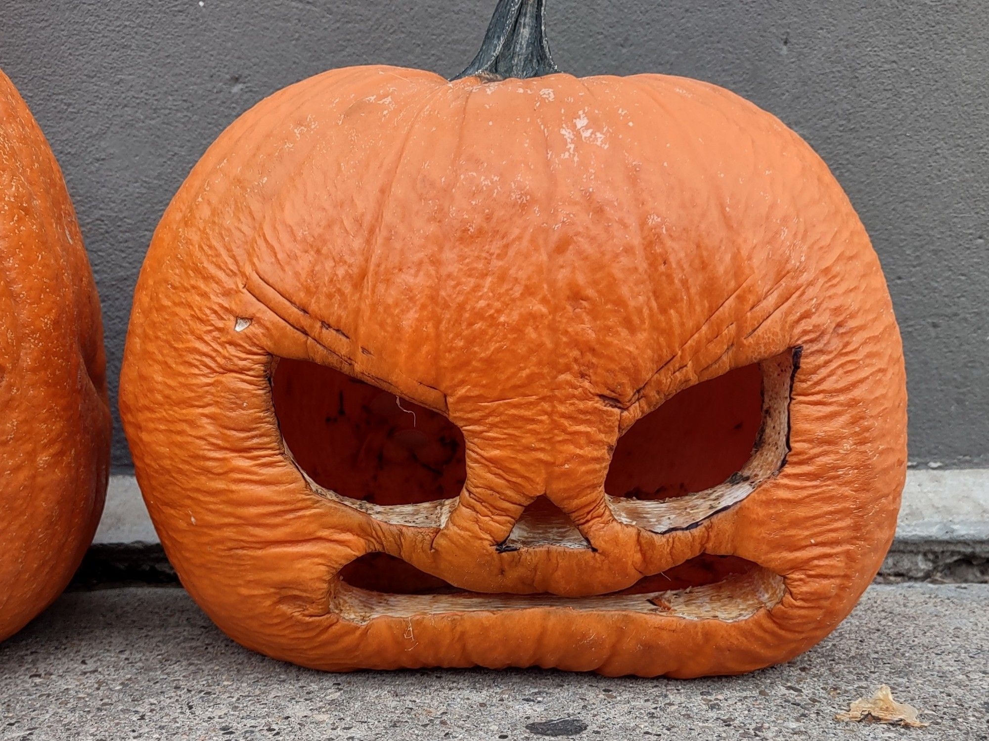 un pumkin d'halloween tout séché et ridé qui s'affaisse et a l'air de faire grandement la gueule du coup