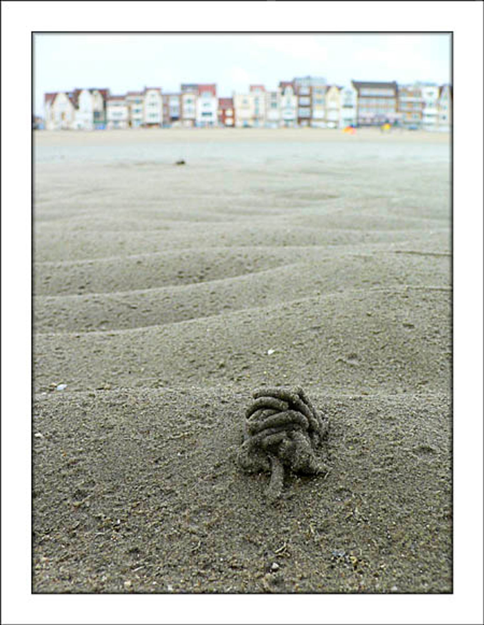 la plage de dunkerque, photo prise à ras du sable vers les maisons qui sont toutes petites en haut de l'image et très loin. Au premier plan un tortillon de sable laissé par un ver descendu sous la surface. (cette photo est de moi, archive 2005)