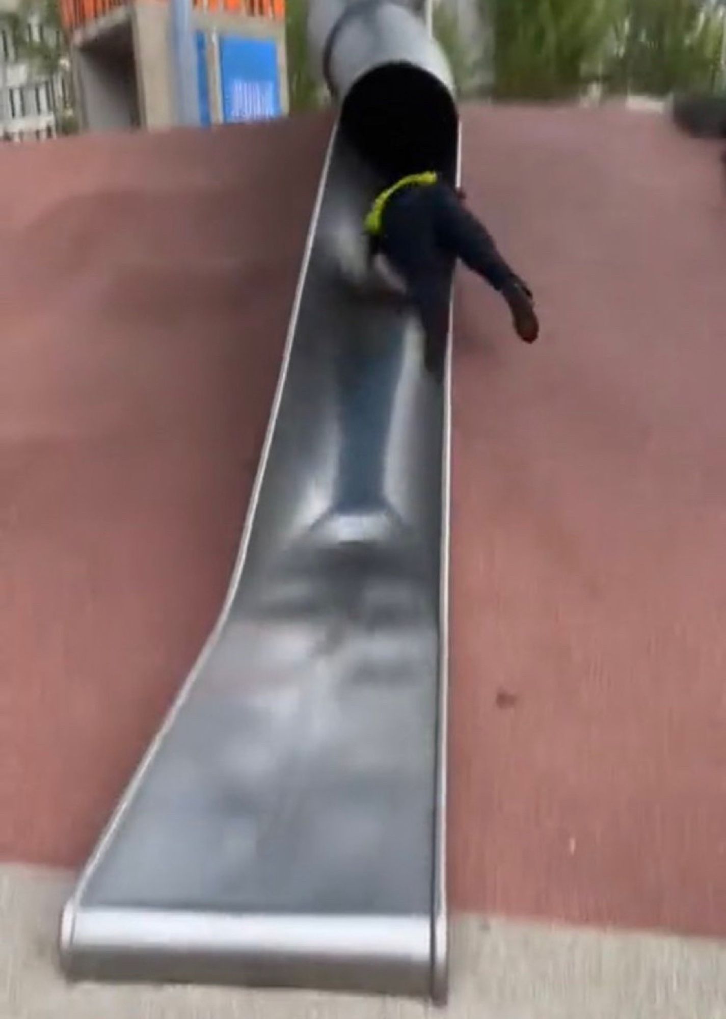 pig falling down a slide