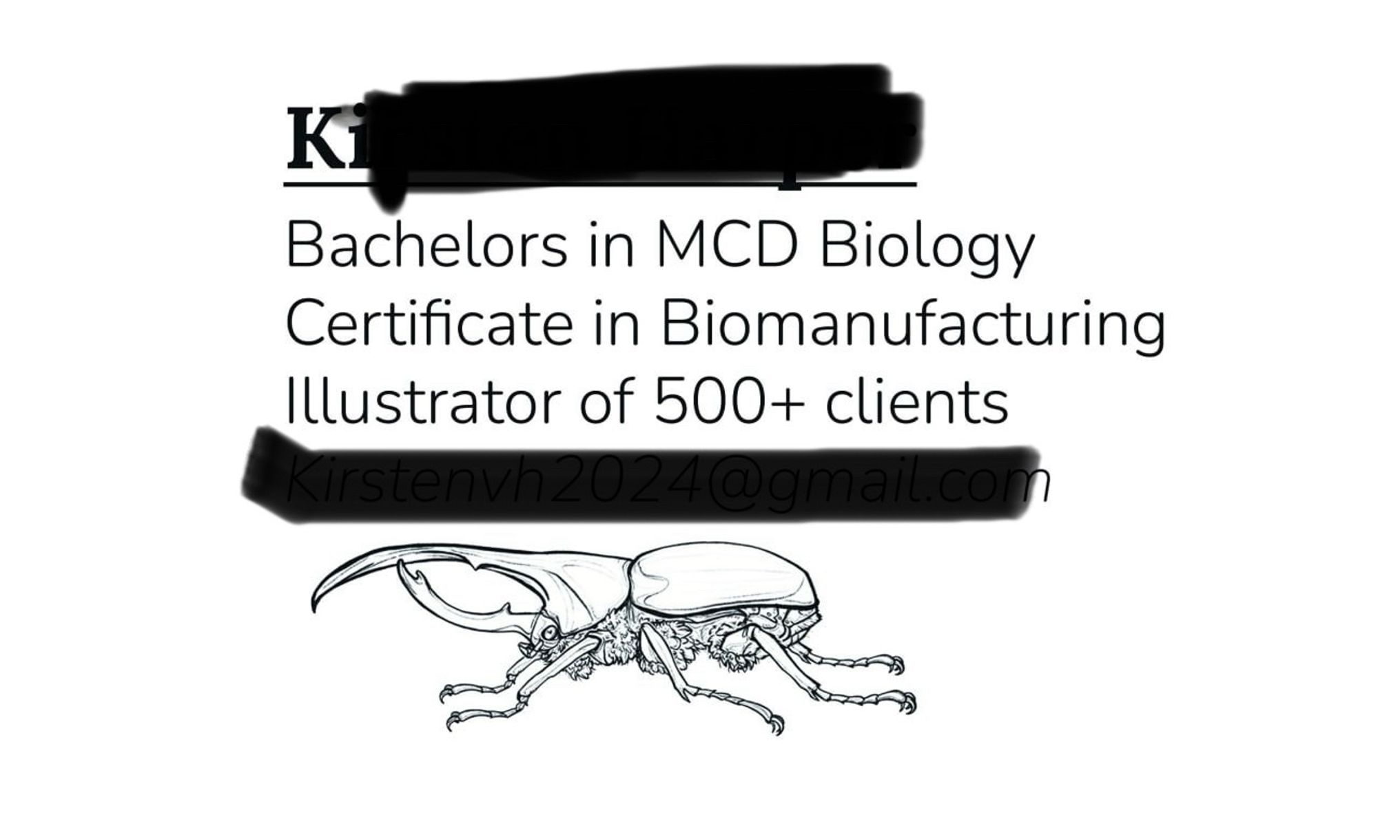 A business card, some words crossed out. 
It reads 
K (underlined)
Bachelors in MCD Biology
Certificate in Biomanufacturing
Illustrator of 500+ clients
Under the words is the illustration of a very fluffy Hercules beetle