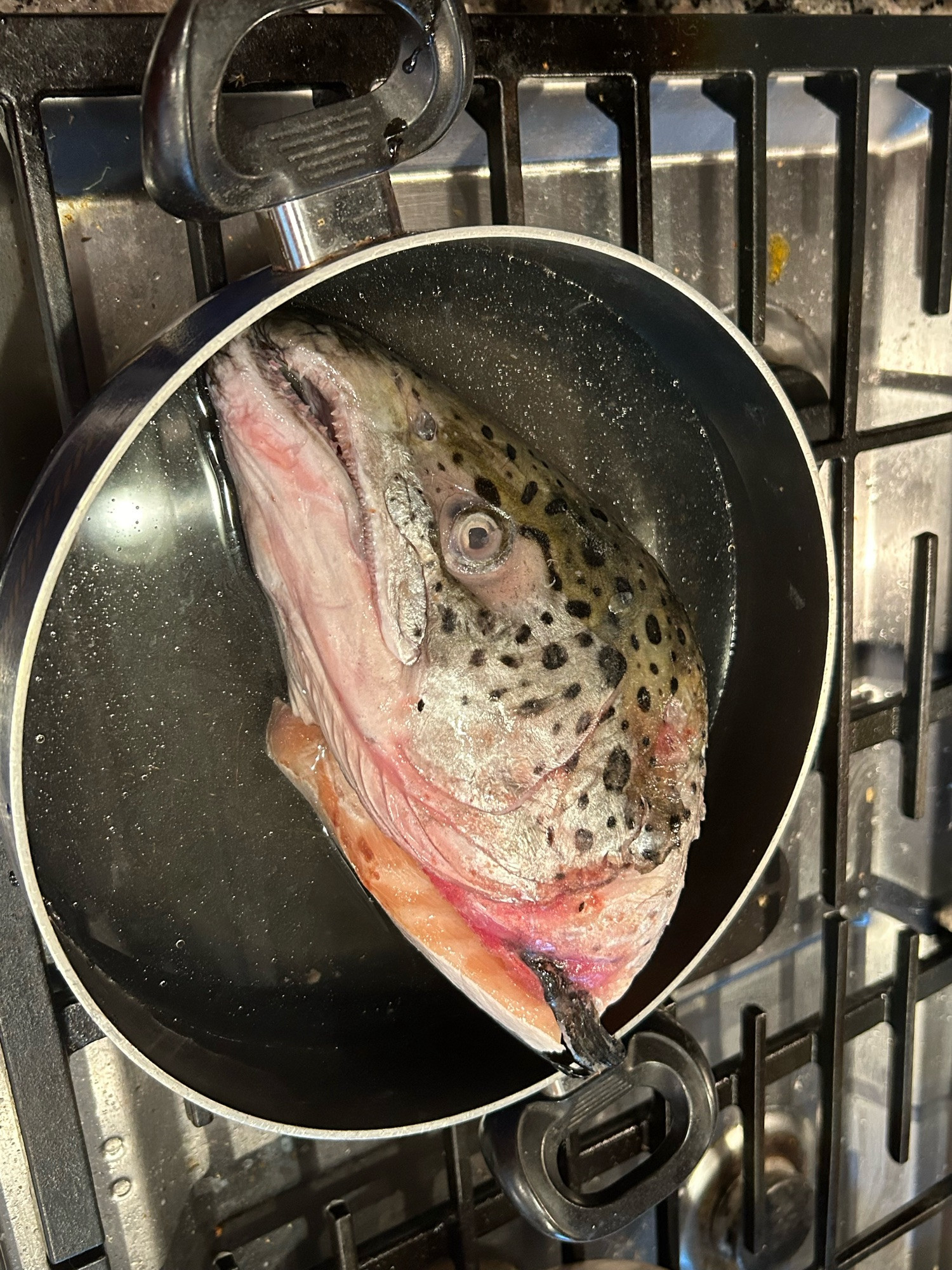 Salmon head in a pot