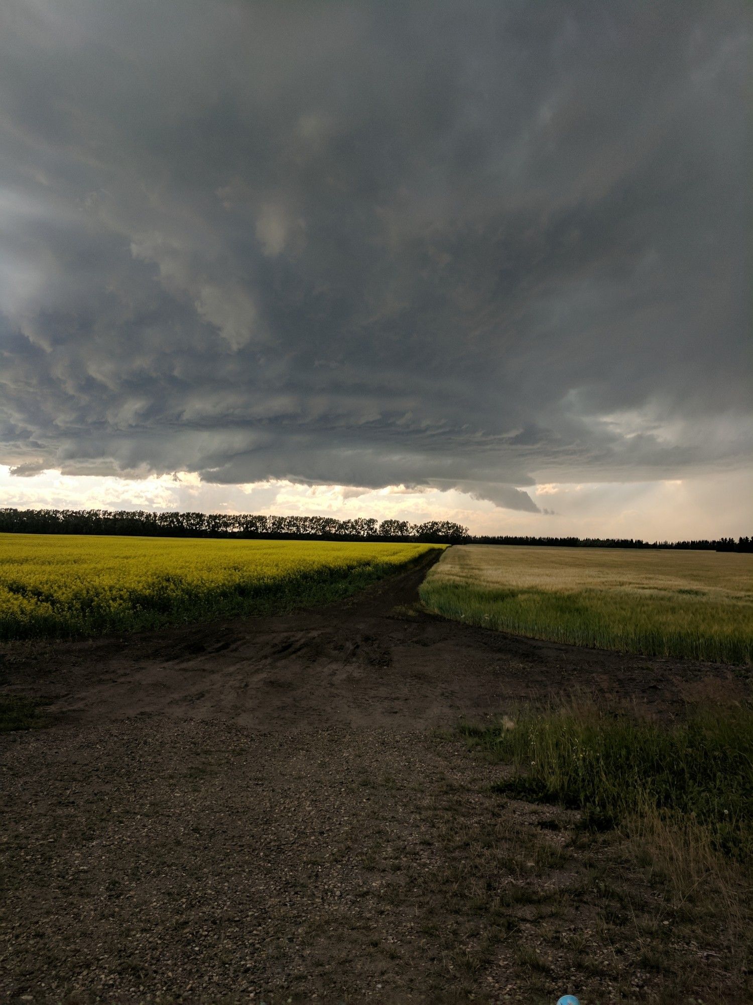 Mother ship storm cloud spinning over a field