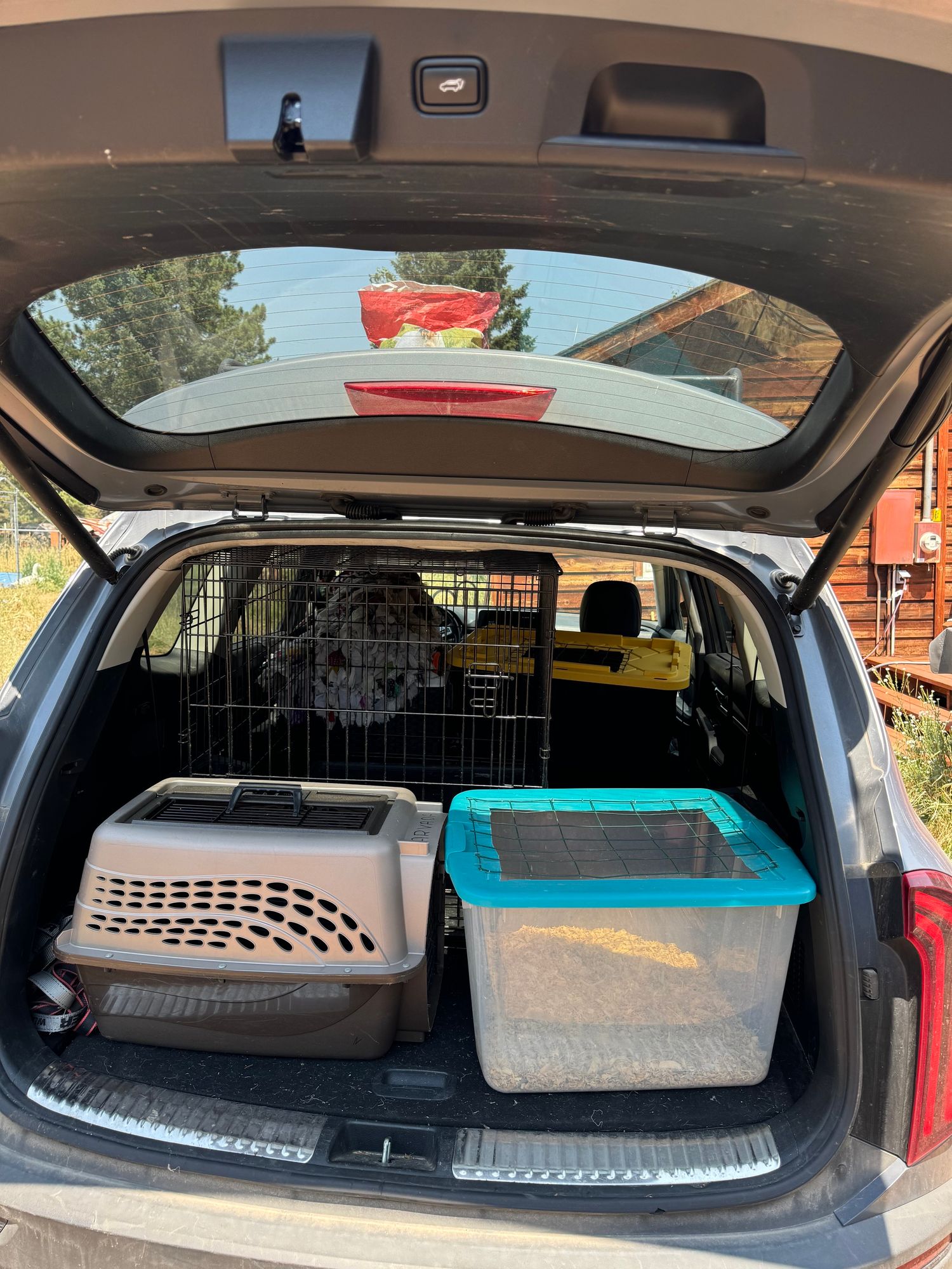 Looking into the back hatch of an SUV loaded with a dog kennel, cat carrier, and two brooding boxes for chickens and ducks