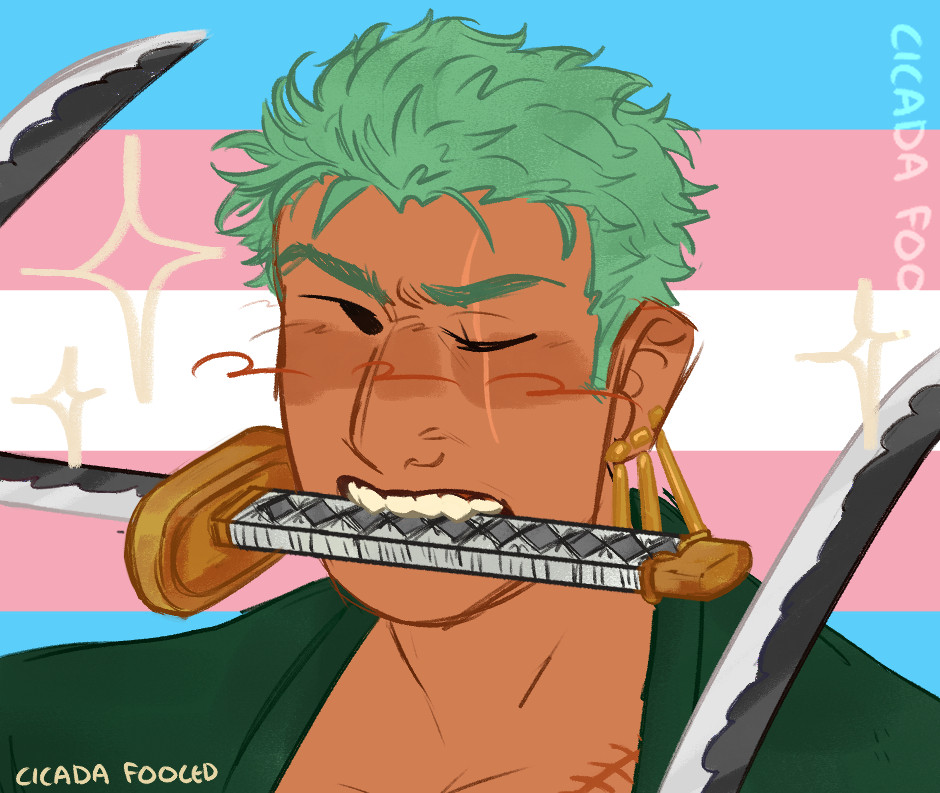 A headshot drawing of Zoro from one piece featuring his post-time skip design. He holds wado in his mouth and the background is the trans flag.