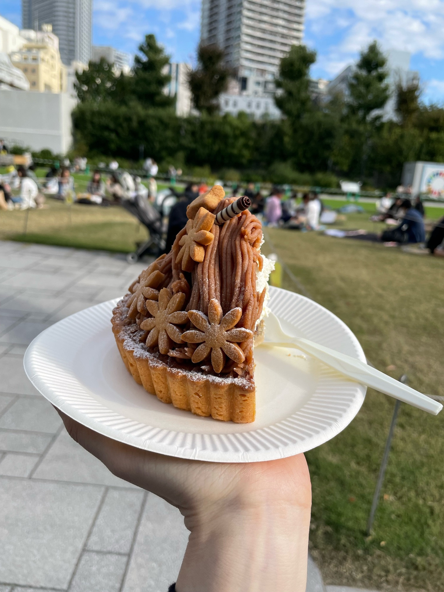 a photo of a slice of the chestnut cake made by my friend 
友達が作ったモンブランケーキの一切れの写真