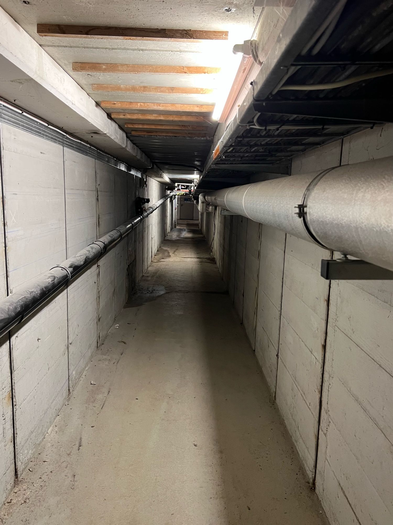 A long, intermittently lit cement-walled hallway with pipes running along it on the sides and weird wooden beams in the ceiling. There are cobwebs and some pooled water. It’s obviously not haunted.