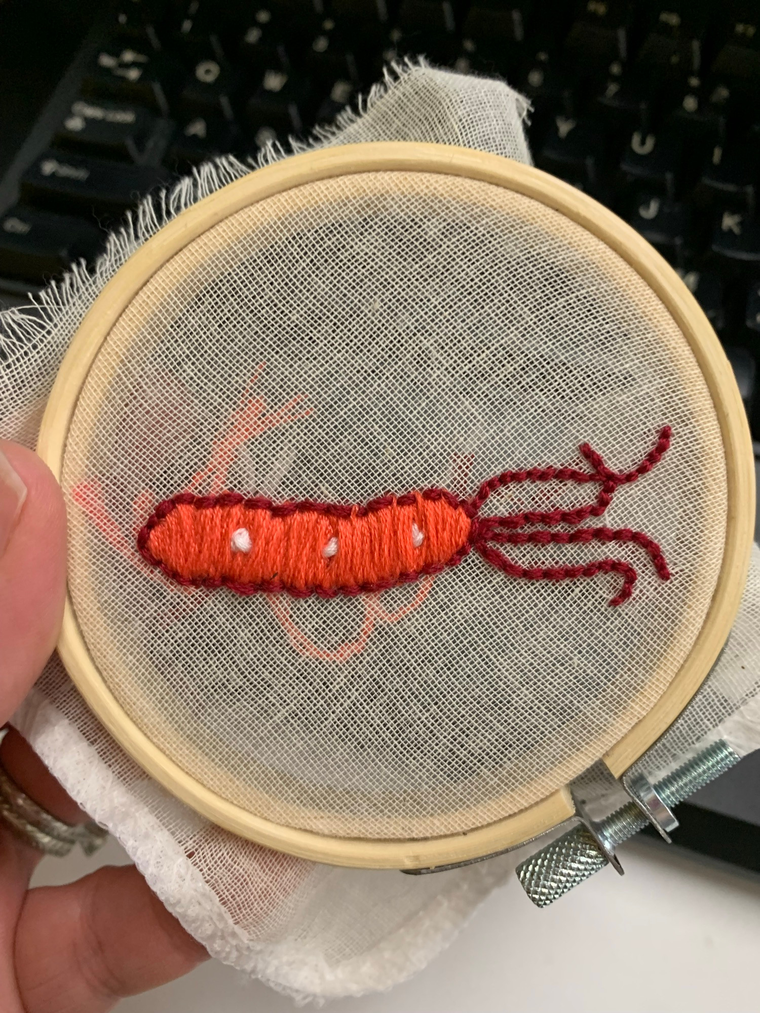 A stitched bacterium of H. pylori, with salmon coloring for the outer membrane, and a maroon outline and flagella. There are white French knots incorporated as well. This is a project called the “Petri dish embroidery project” for my infectious diseases and global health class. This is only possible because of your donations. 