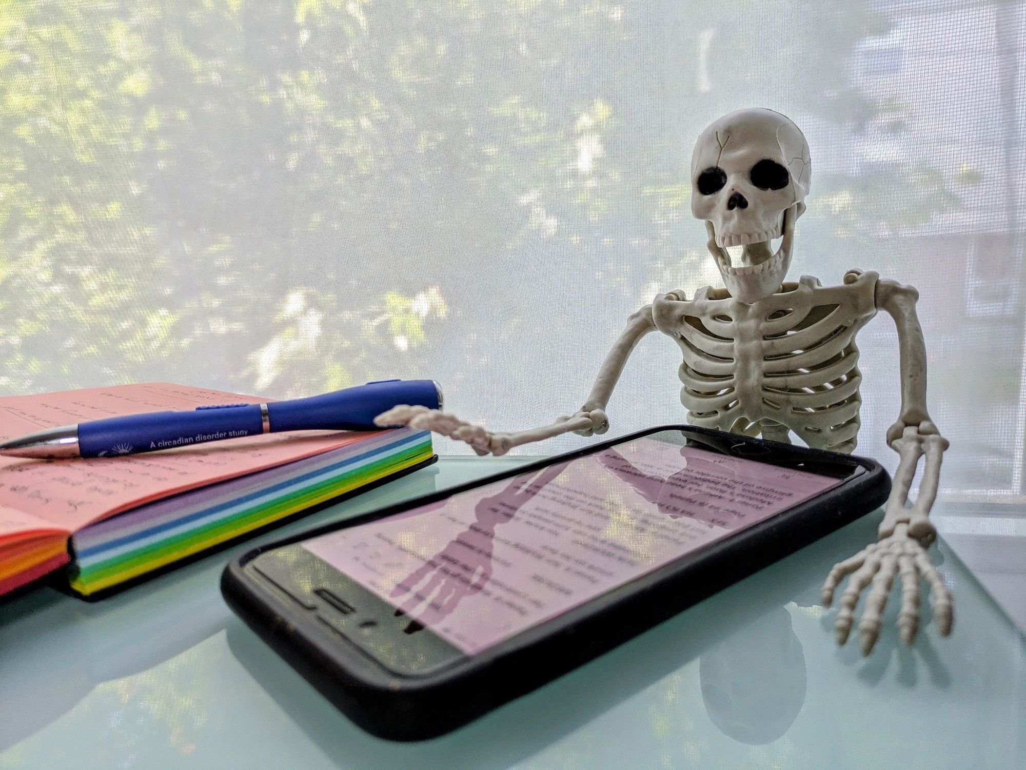 A small toy skeleton sitting at a desk looking at a (blurred) script on a phone. There's an open rainbow notebook next to him full of handwriting