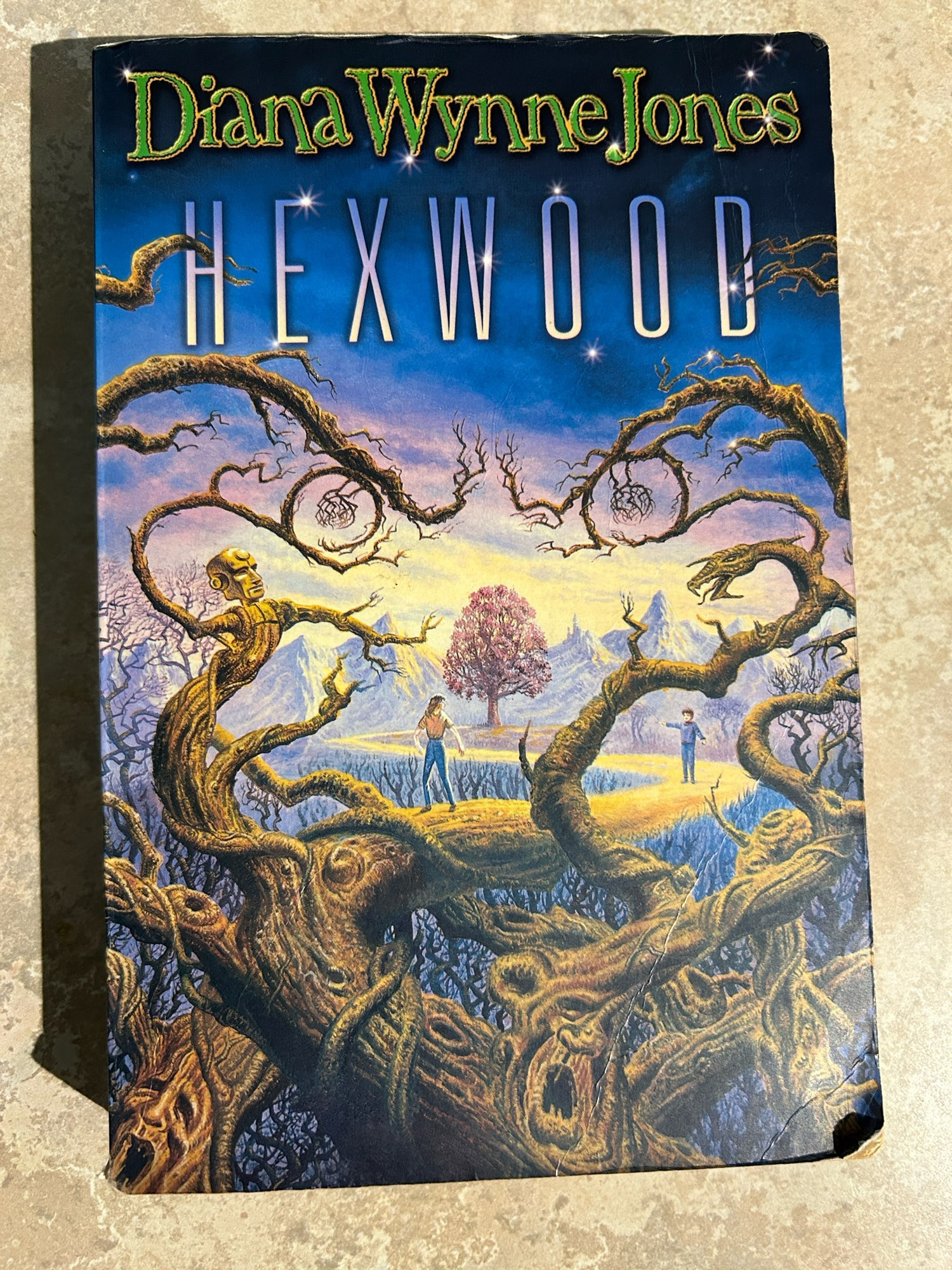 The cover of my copy of Hexwood, by Diana Wynne Jones.