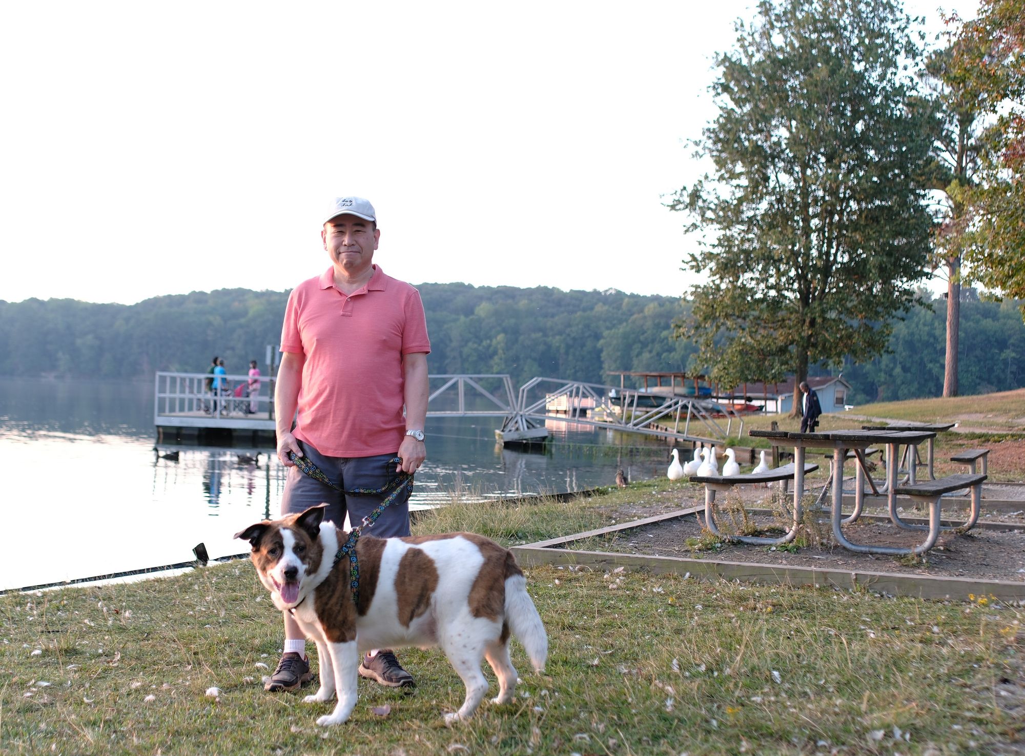 A man with a white cap standing in front of a lake with his white and brown dog at the bottom. Ducks on the right.