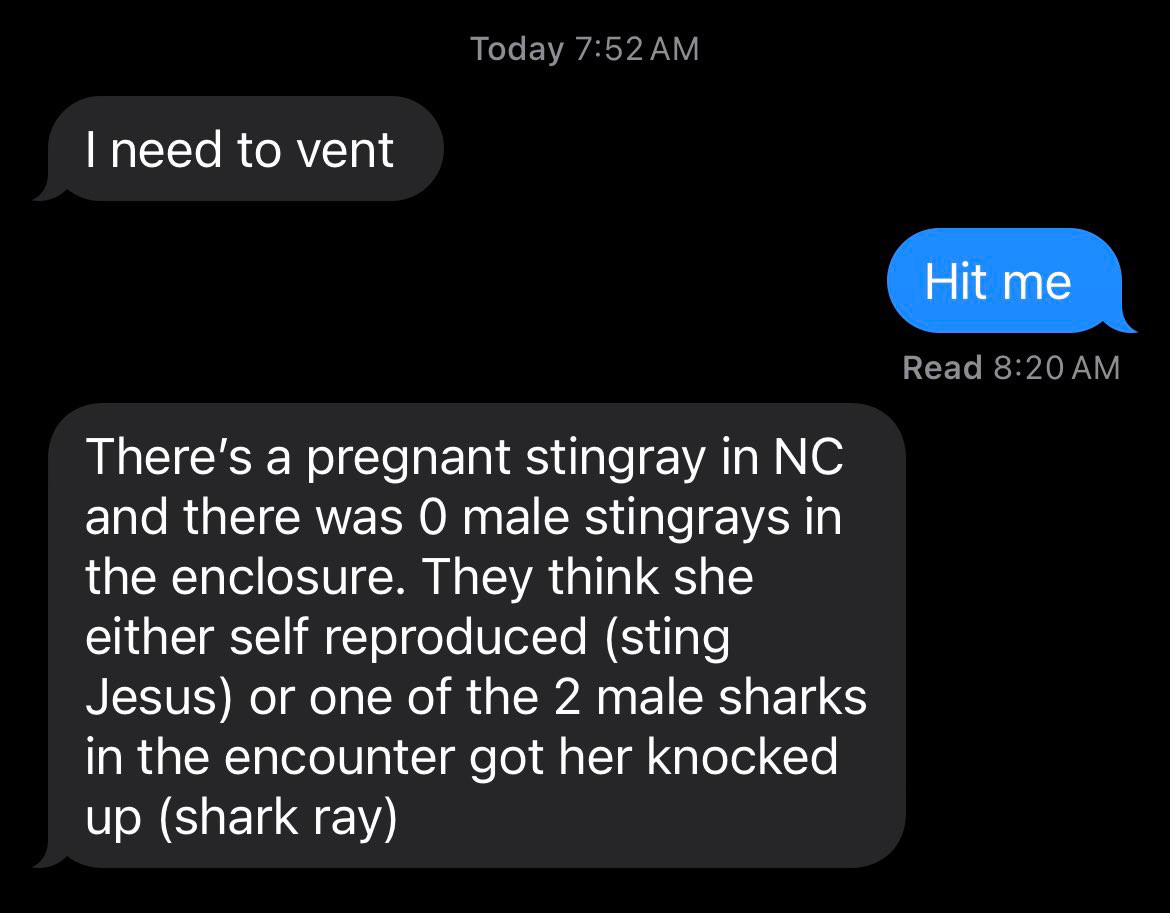 Screenshot of a text exchange.

Person 1: I need to vent

Person 2: Hit me

Person 1: There's a pregnant stingray in NC and there was 0 male stingrays in the enclosure. They think she either self reproduced (sting Jesus) or one of the 2 male sharks in the encounter got her knocked up (shark ray)