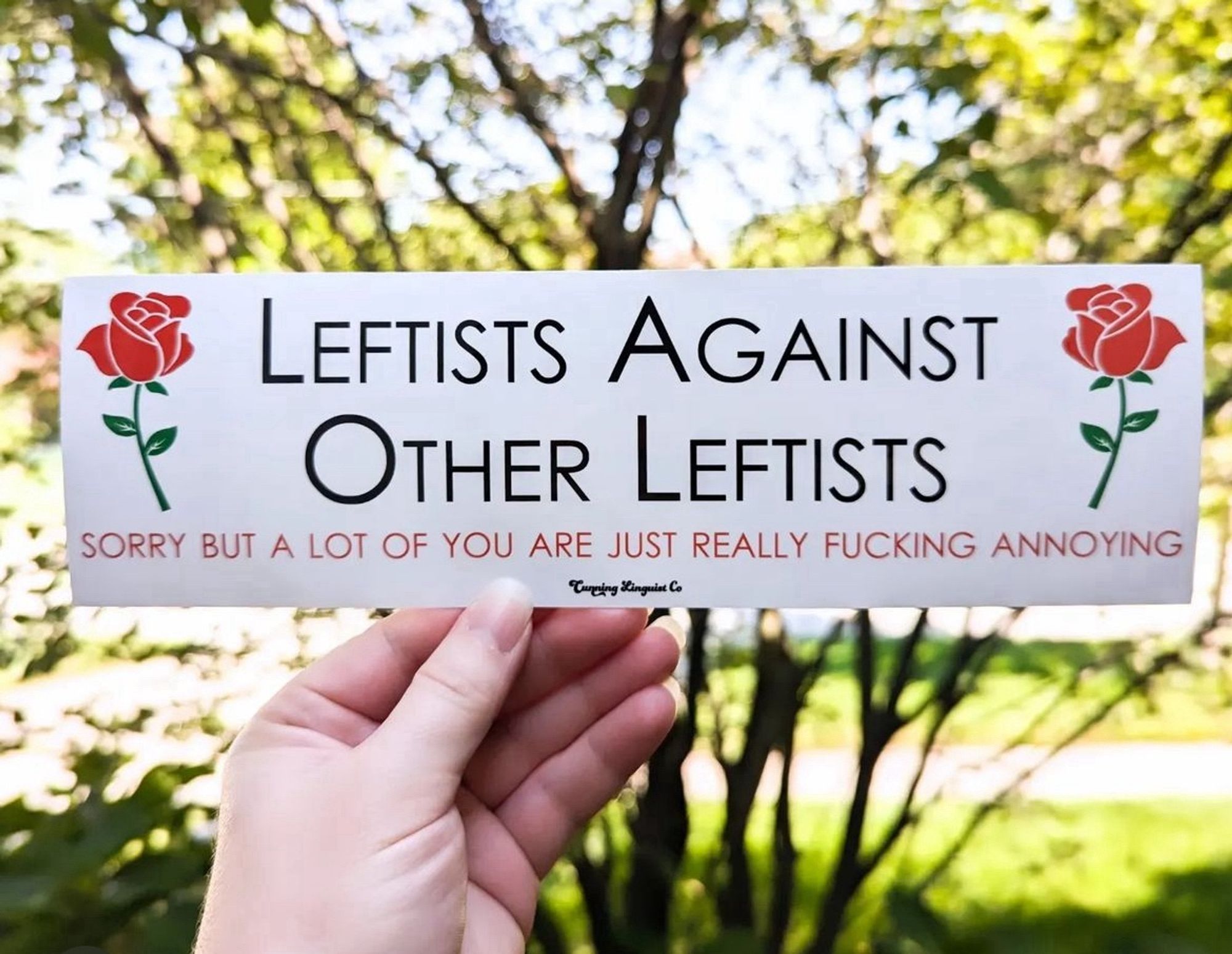 A hand holding up a sticker from Cunning Linguist Co. 

White horizontal sticker with singular roses on both ends. In the middle in big black text it says “Leftists Against Other Leftists” and underneath in smaller red text it says “Sorry but a lot of you are just really fucking annoying.”