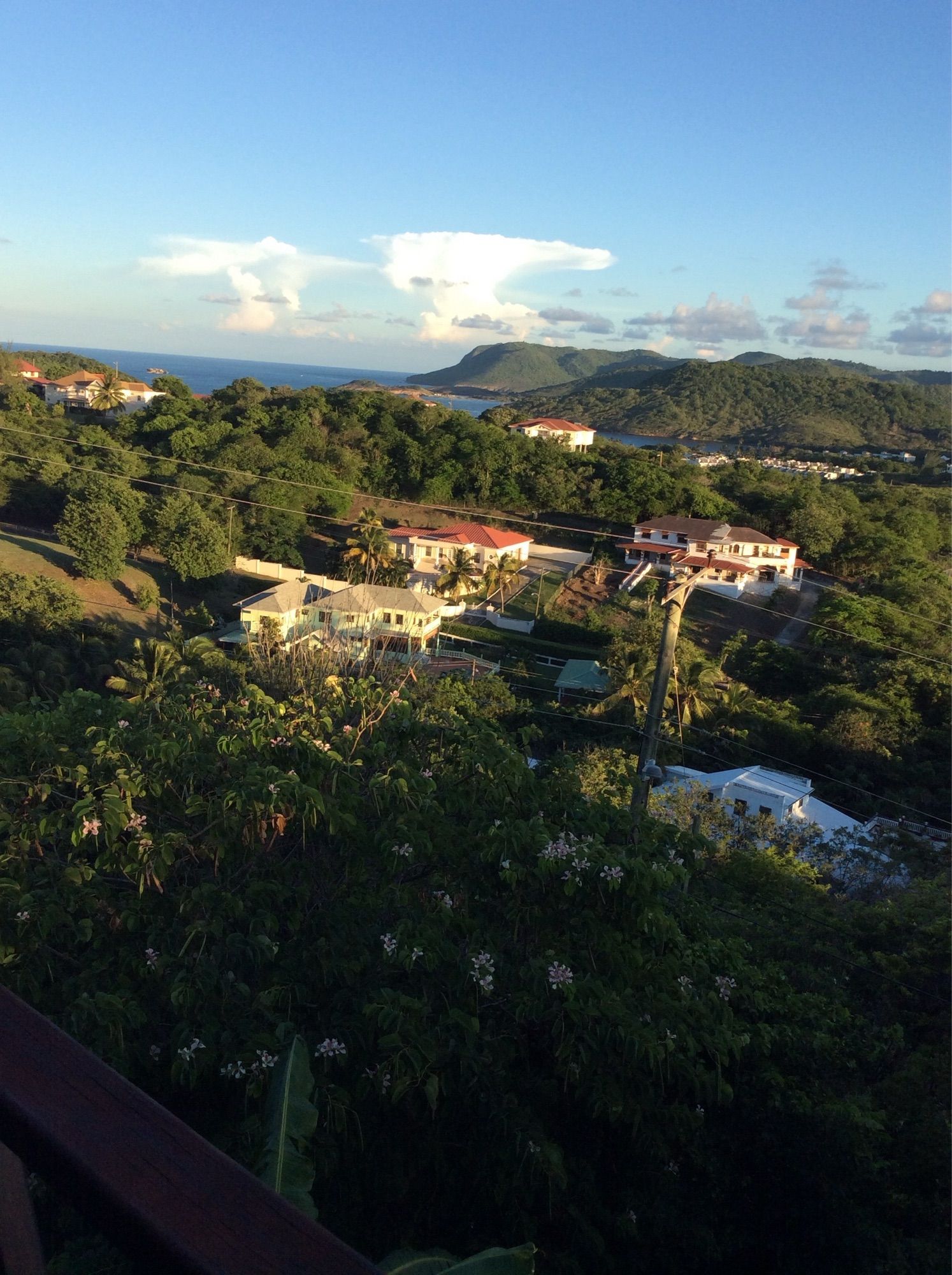 Landscape with houses amid a lot of natural growth