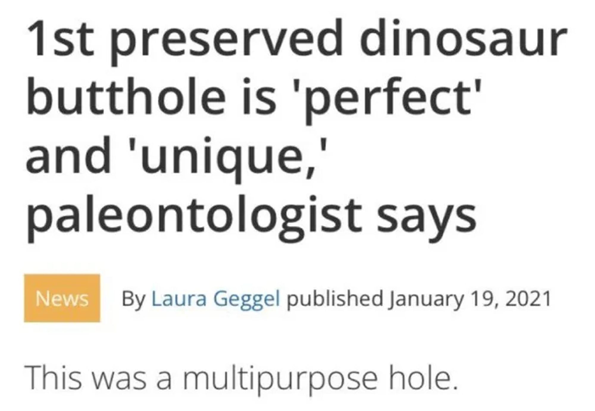 headline from LiveScience by Laura Geggel reading "1st preserved dinosaur butthole is 'perfect' and 'unique,' paleontologist says"
"This was a multipurpose hole."