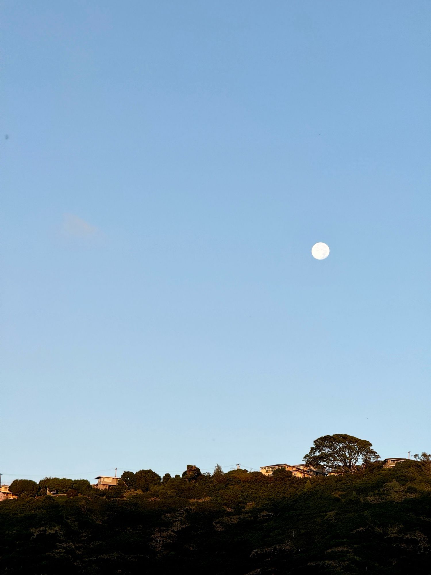 Waning gibbous moon over Wa‘ahila Ridge this morning, as seen from my house in Pālolo Valley.