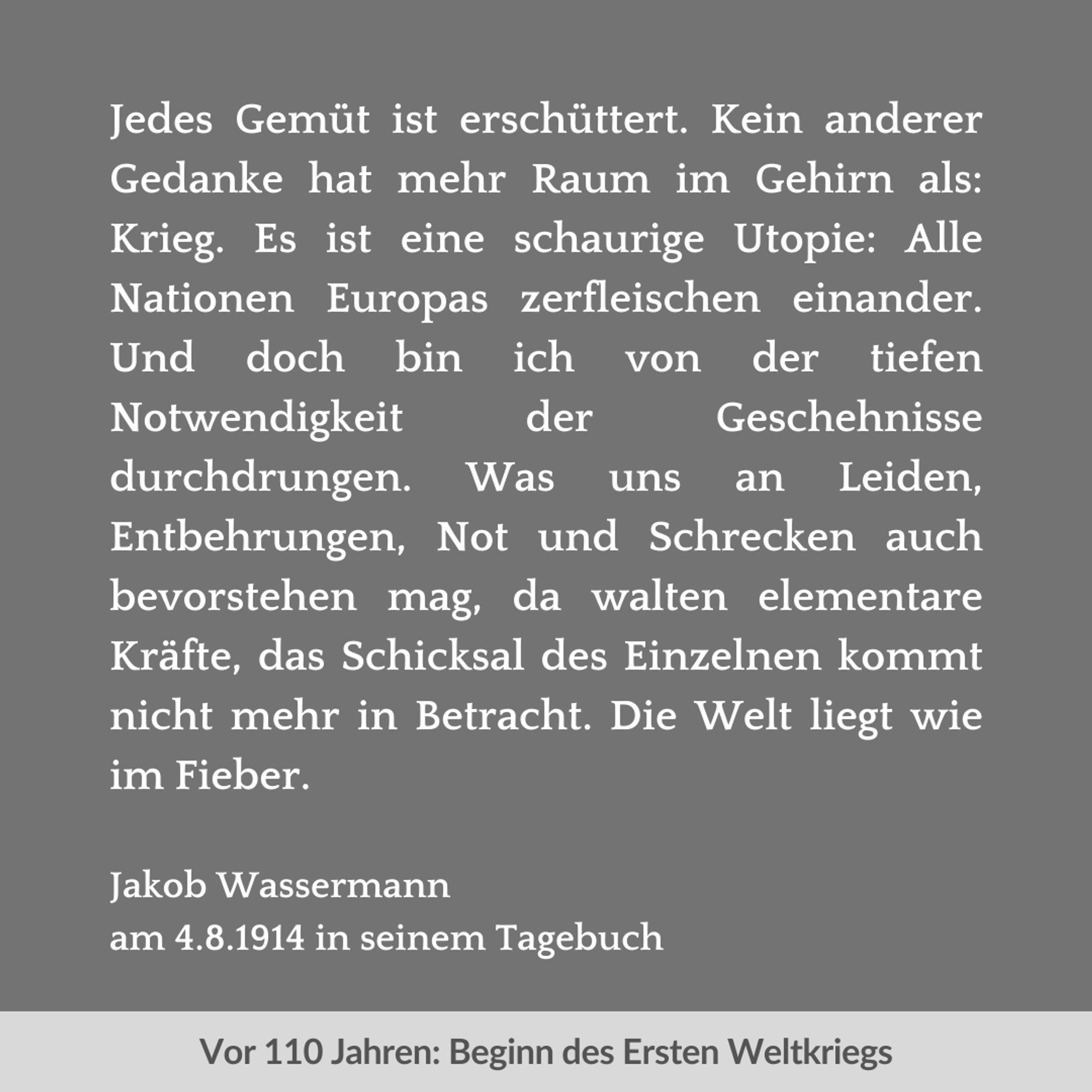 Zweigeteilte Kachel. Unten vor hellgrauem Streifen in dunkelgrau der Text: "Vor 110 Jahren: Beginn des Ersten Weltkriegs". Oben vor dunkelgrauem Hintergrund in weiß der Text: "Jedes Gemüt ist erschüttert. Kein anderer Gedanke hat mehr Raum im Gehirn als: Krieg. Es ist eine schaurige Utopie: Alle Nationen Europas zerfleischen einander. Und doch bin ich von der tiefen Notwendigkeit der Geschehnisse durchdrungen. Was uns an Leiden, Entbehrungen, Not und Schrecken auch bevorstehen mag, da walten elementare Kräfte, das Schicksal des Einzelnen kommt nicht mehr in Betracht. Die Welt liegt wie im Fieber. Jakob Wassermann am 4.8.1914 in seinem Tagebuch".