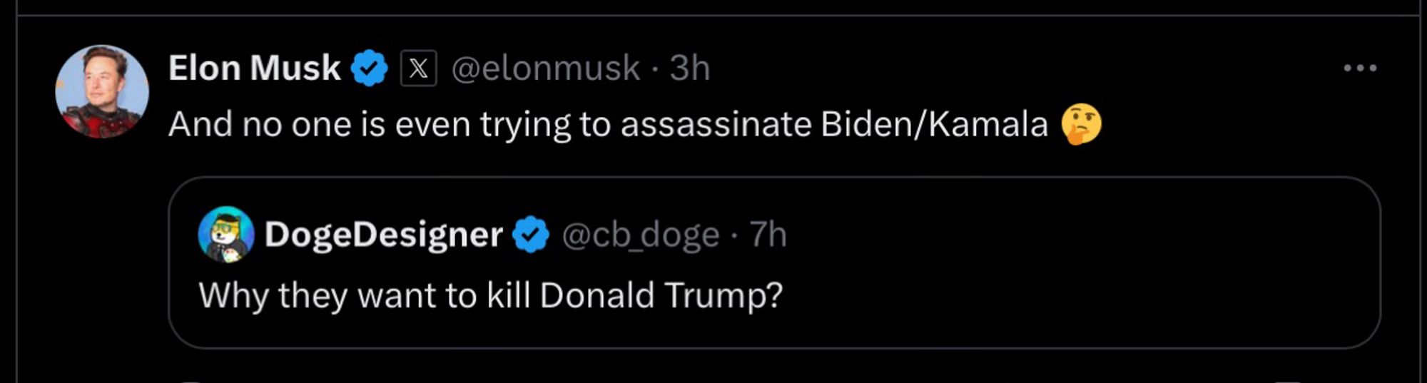 An Elon musk tweet where he wonders why no one is trying to kill the democrat presidential nominee.