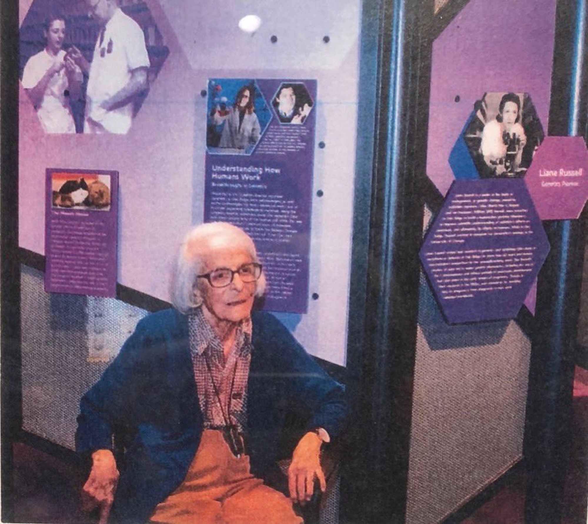 A photo of Liane Russell, age 95, sitting next to an AMSE display about her work. She has white hair, thick-rimmed glasses, and is sitting in a wheelchair. Russell is looking at something to the right of the photographer.