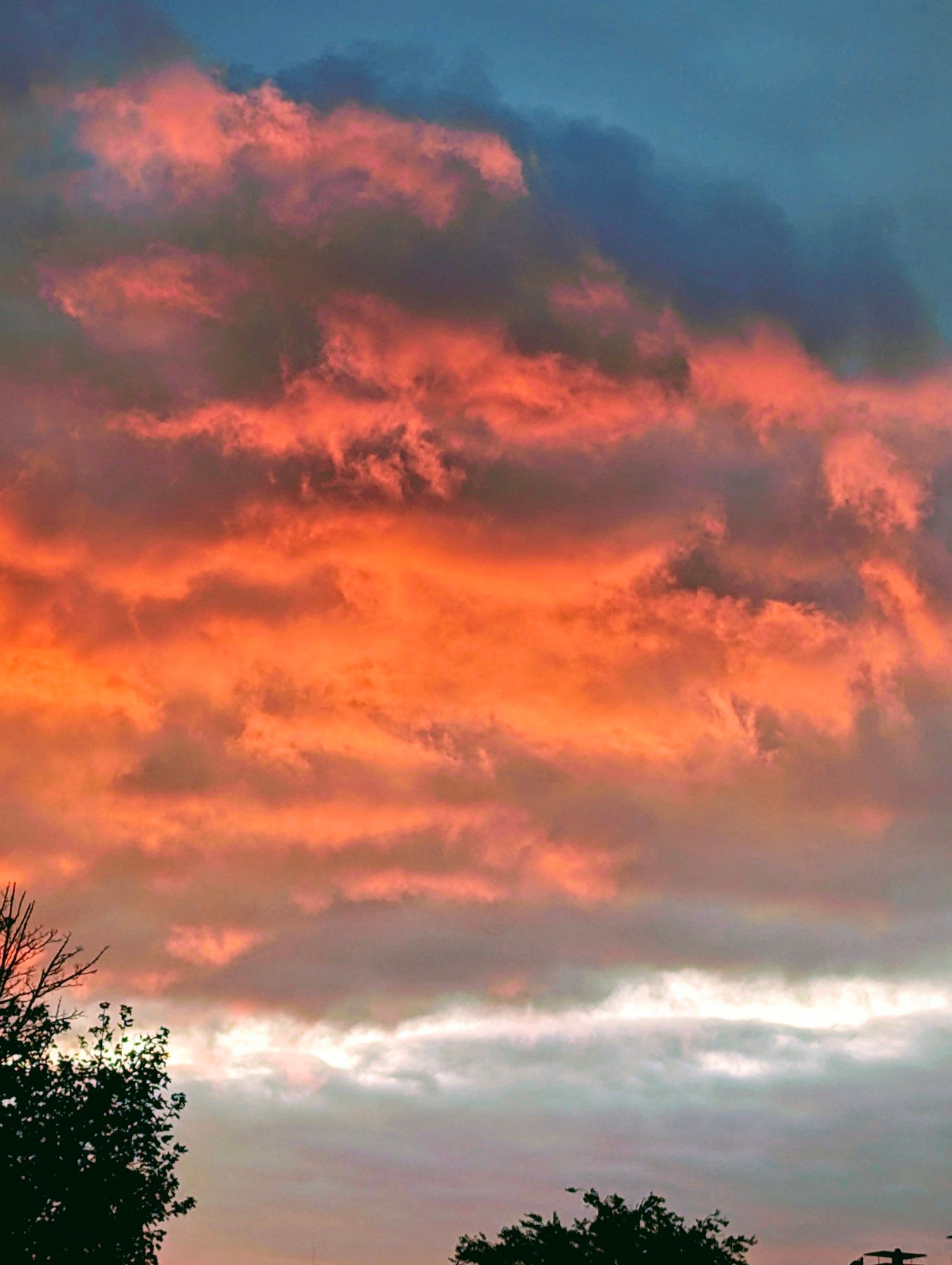 Der Himmel mit dramatisch rot-orangen Wolkenformationen. Am unteren Bildrand sieht man einige Baumwipfel.