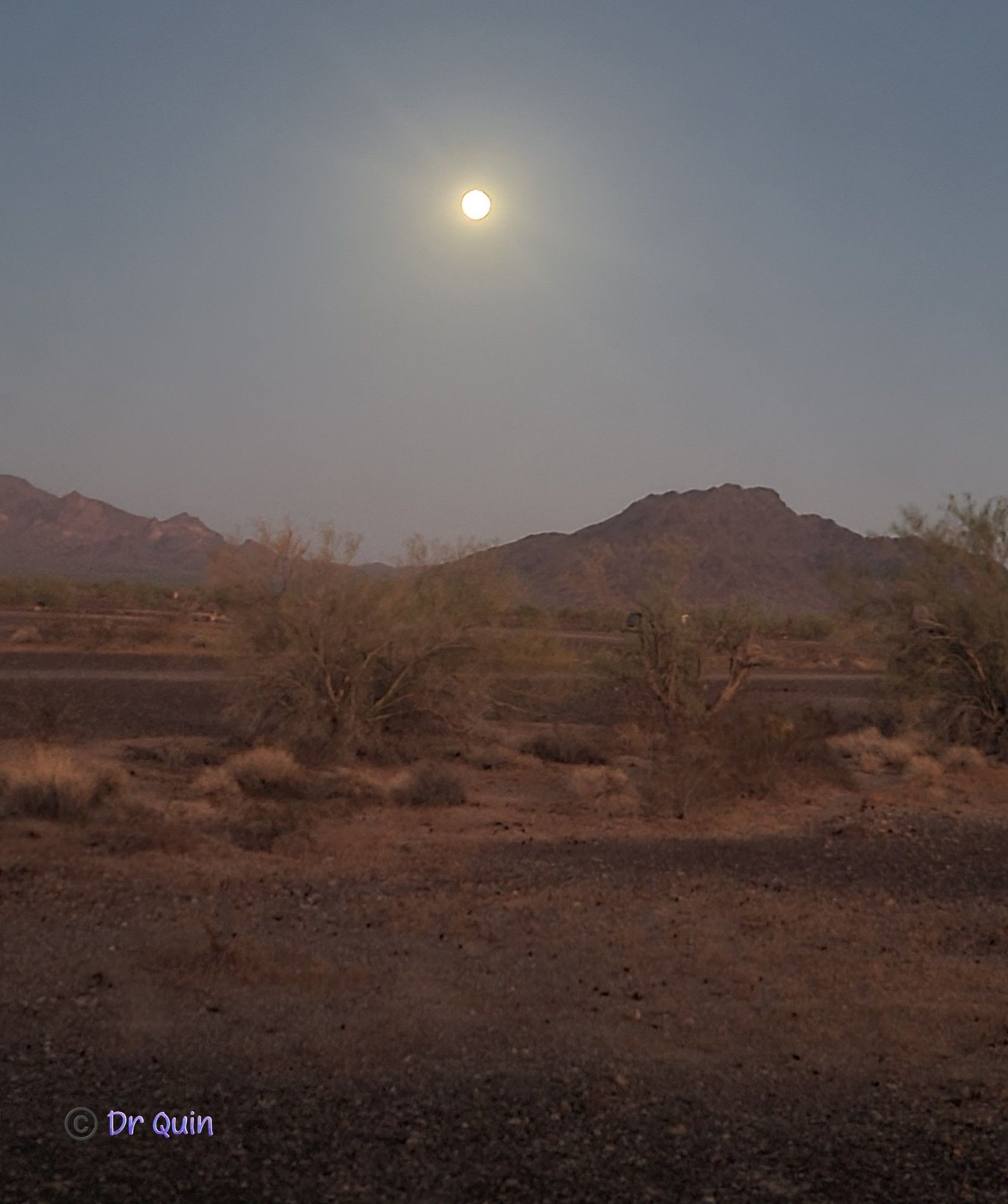 3 hrs after sundown, the moon was so bright my auto flash ...did not...