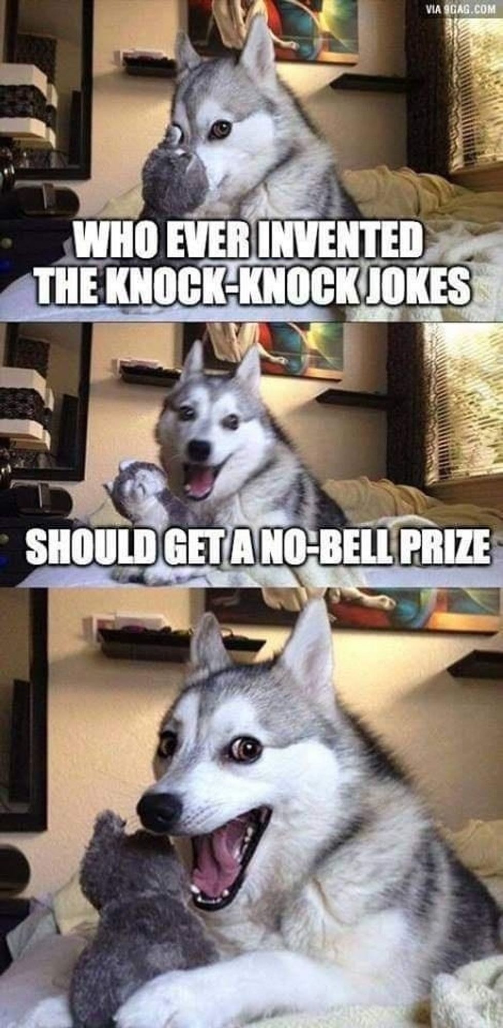 dog telling a joke:

whoever invented the knock knock jokes
should get a no-bell prize

*dog smiling*