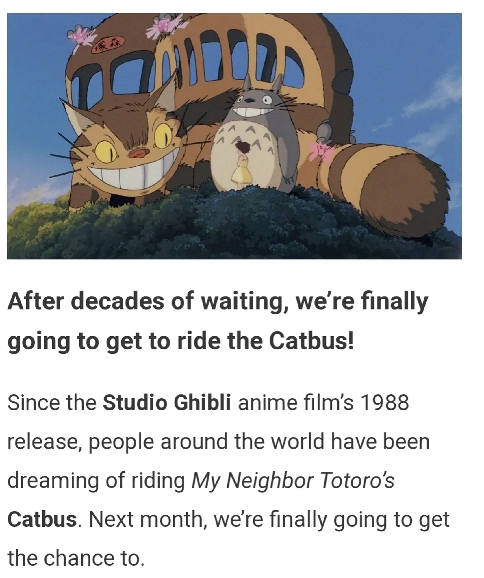 news story announcing the start date for the Catbus Service