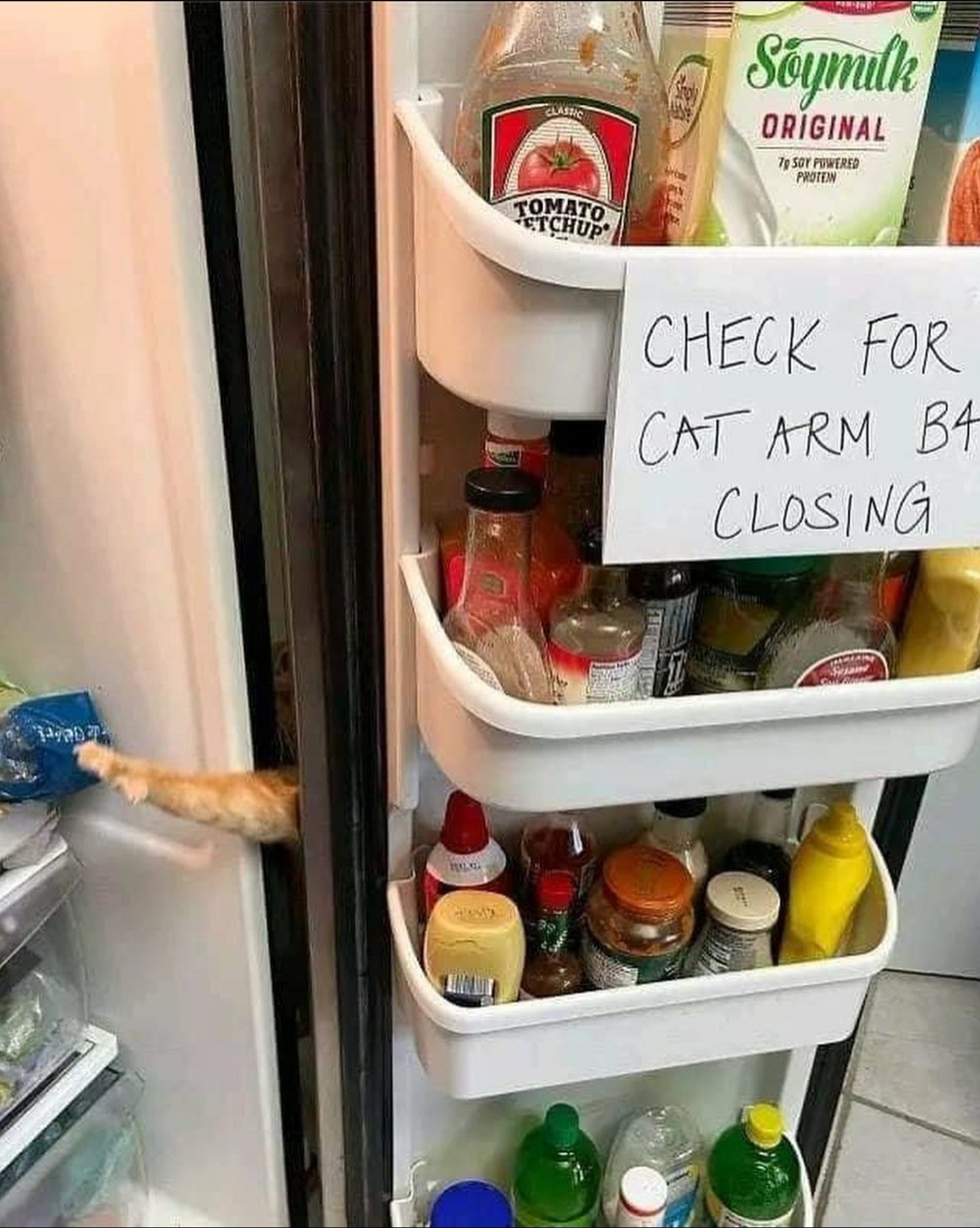 Open refrigerator with a cats paw reaching through the gap between door and body, with a sign taped to a shelf reading

CHECK FOR CAT ARM BEFORE CLOSING