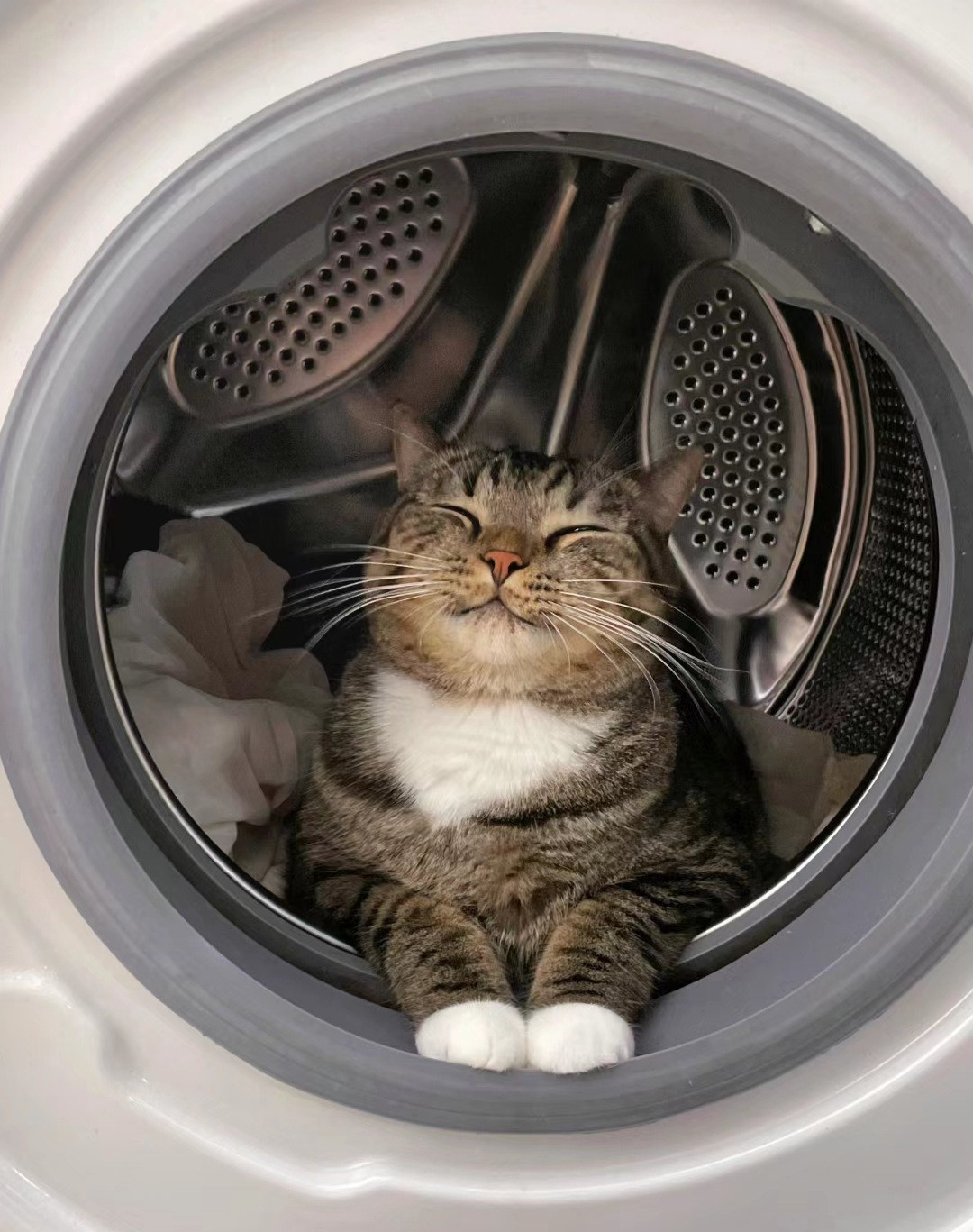 small dryer full of clothes with a smiling cat laying on the, paws out