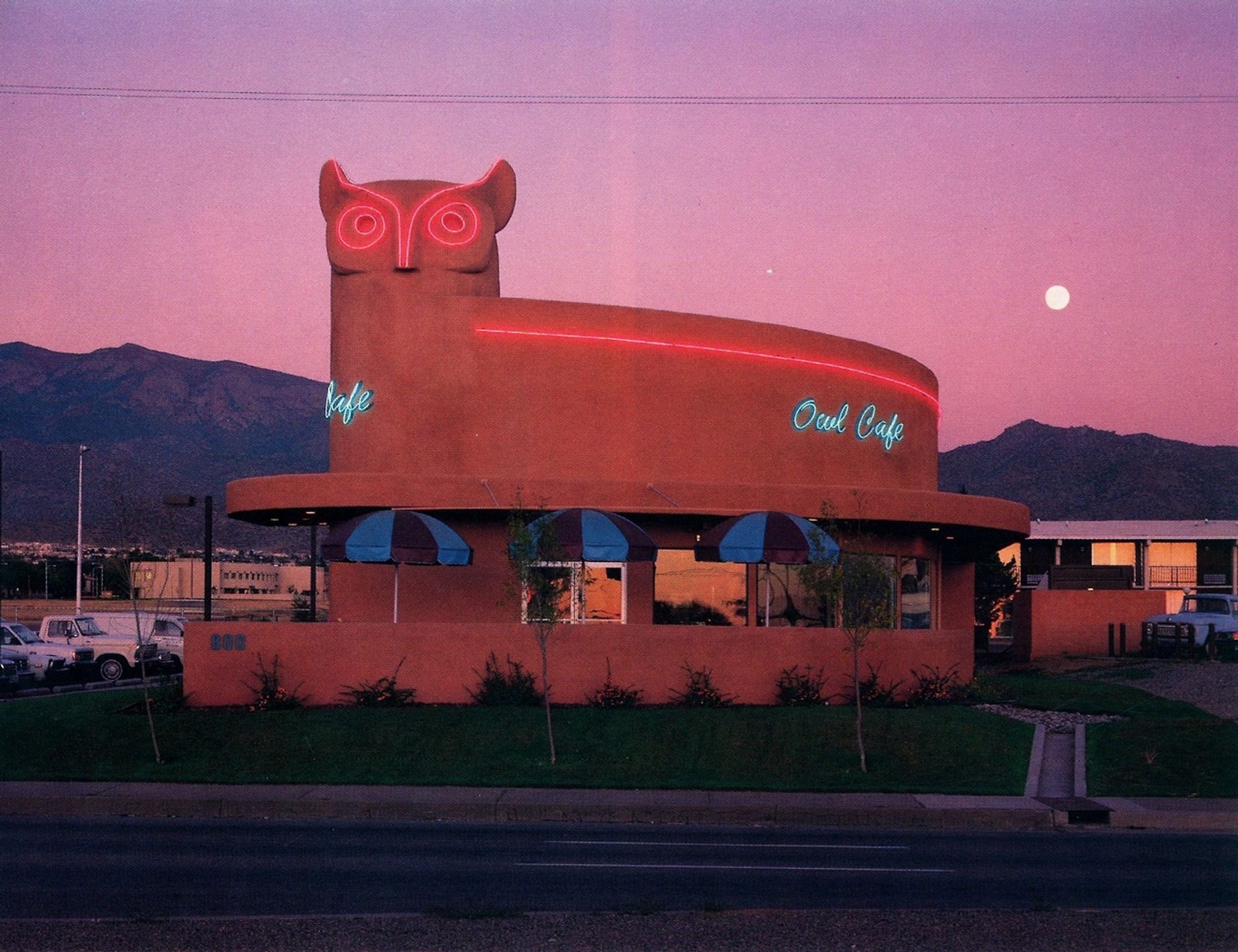 neon decorated building with an owl's head turret