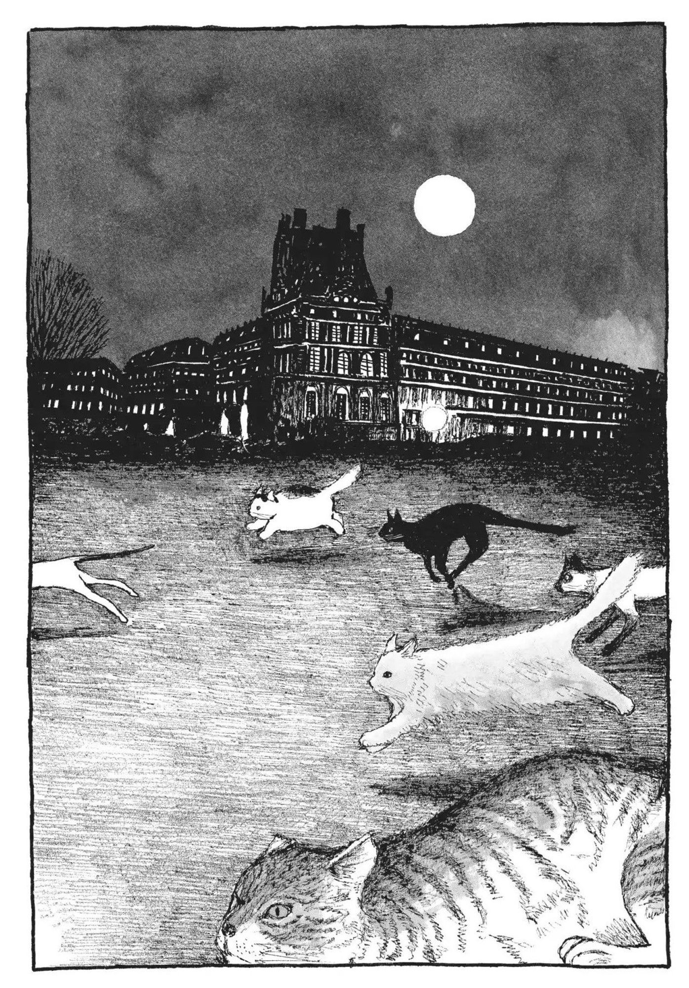 b&w illustration of a group of cats sprinting across open ground in front of an impressive old timey building