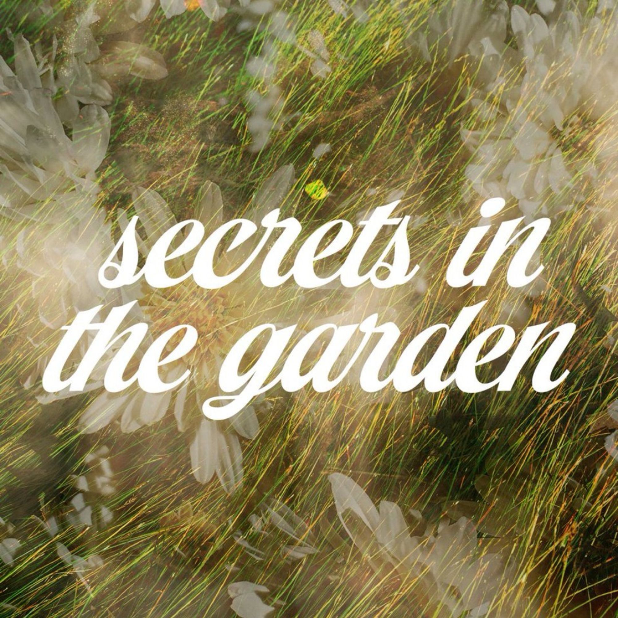 the cover of 'secrets in the garden'