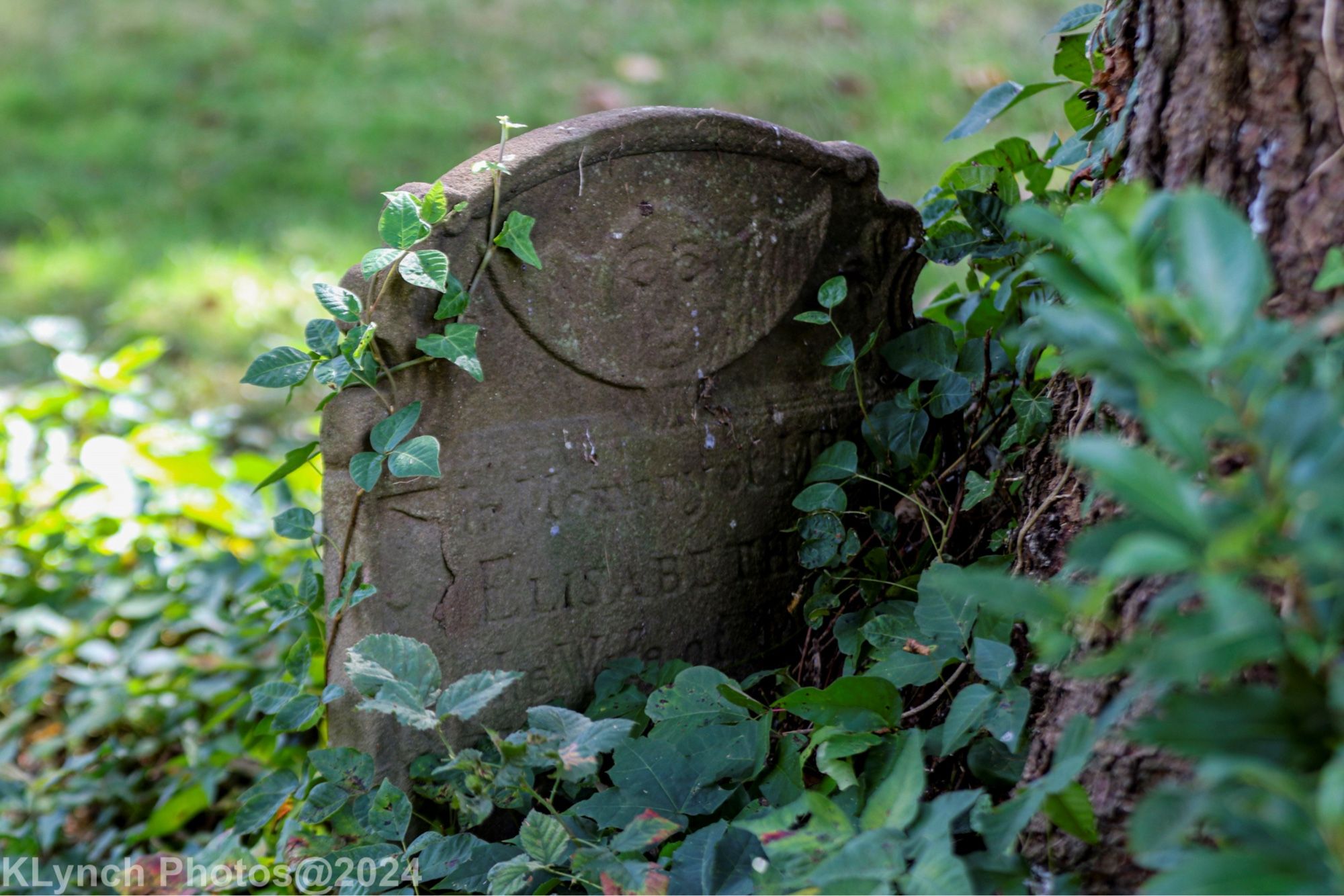 The  obscured by overgrowth full epitaph reads: 

In Memory of MRS
ELISABETH
the Wife of MR
THOMAS PALMER
who died Dec'r the
23d 1768 In the
27th Year of her
Age

Whilst in this Life She did Dwell But few of her Age Did her Excell